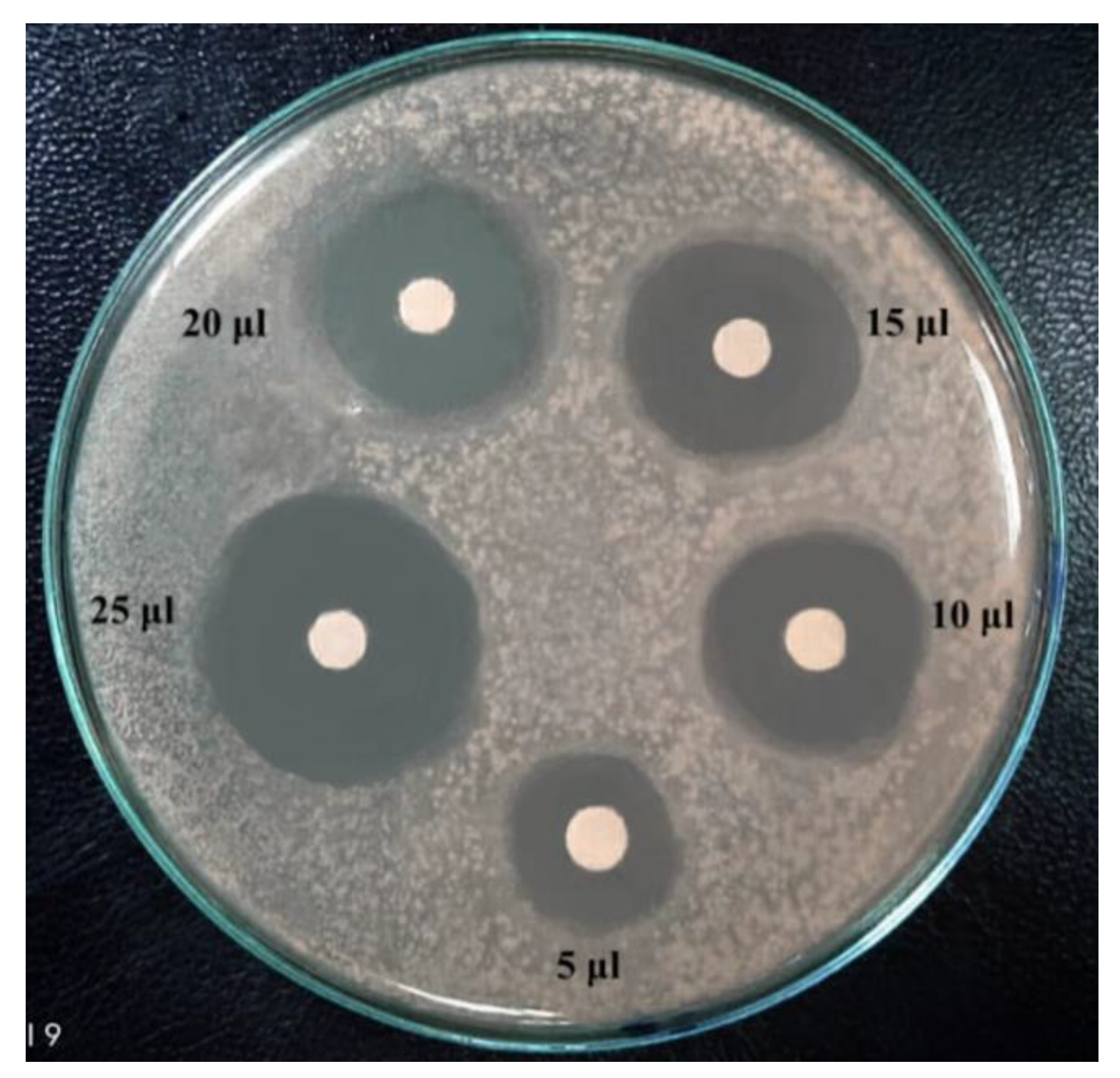 Antibiotics 12 01095 g003