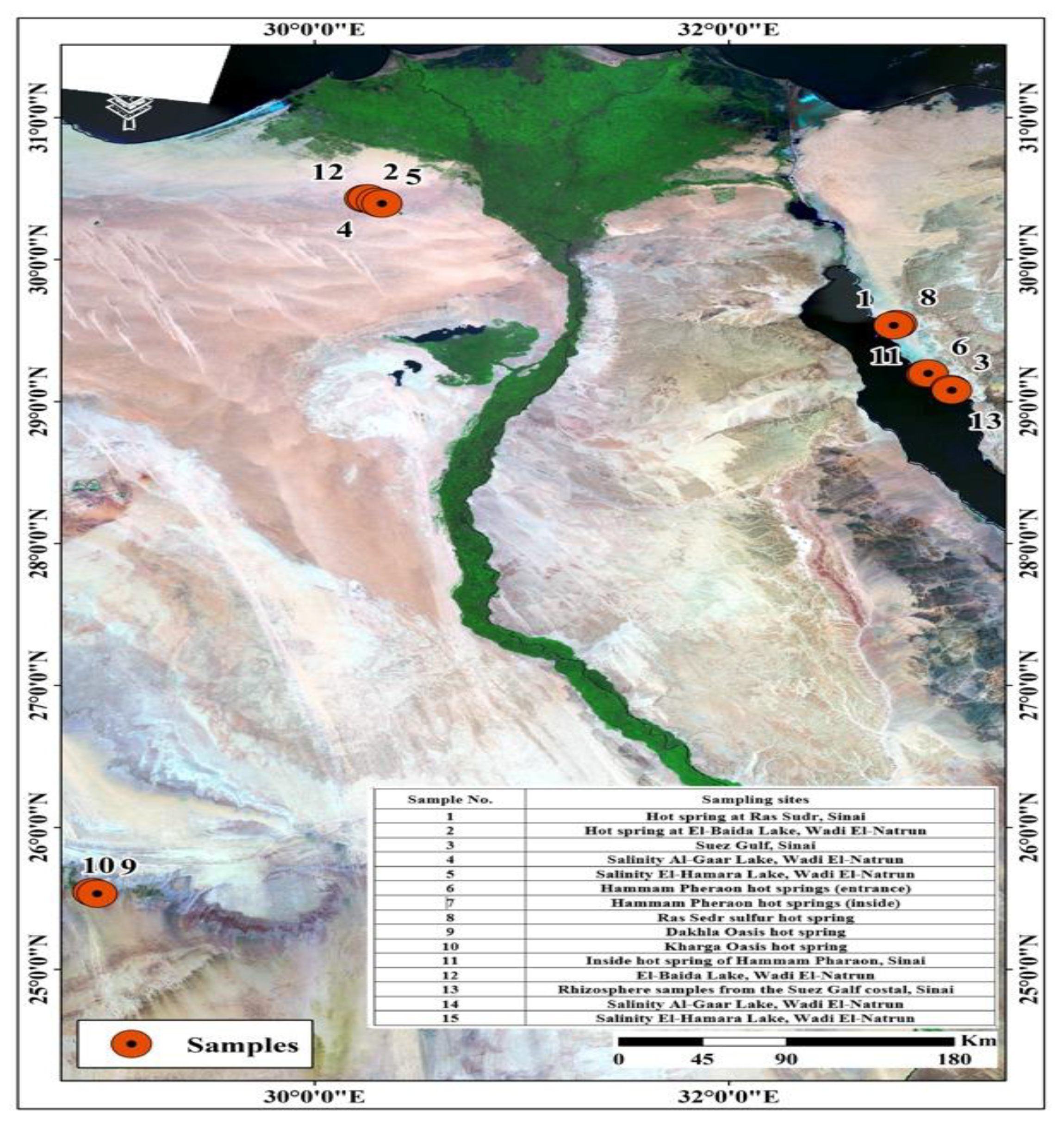 Antibiotics 12 01095 g004