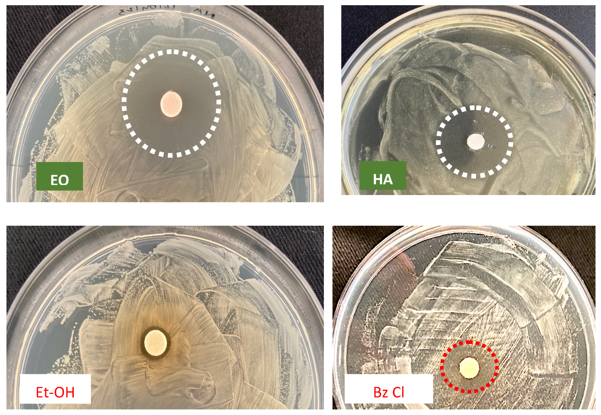 Antibiotics 12 01098 g002