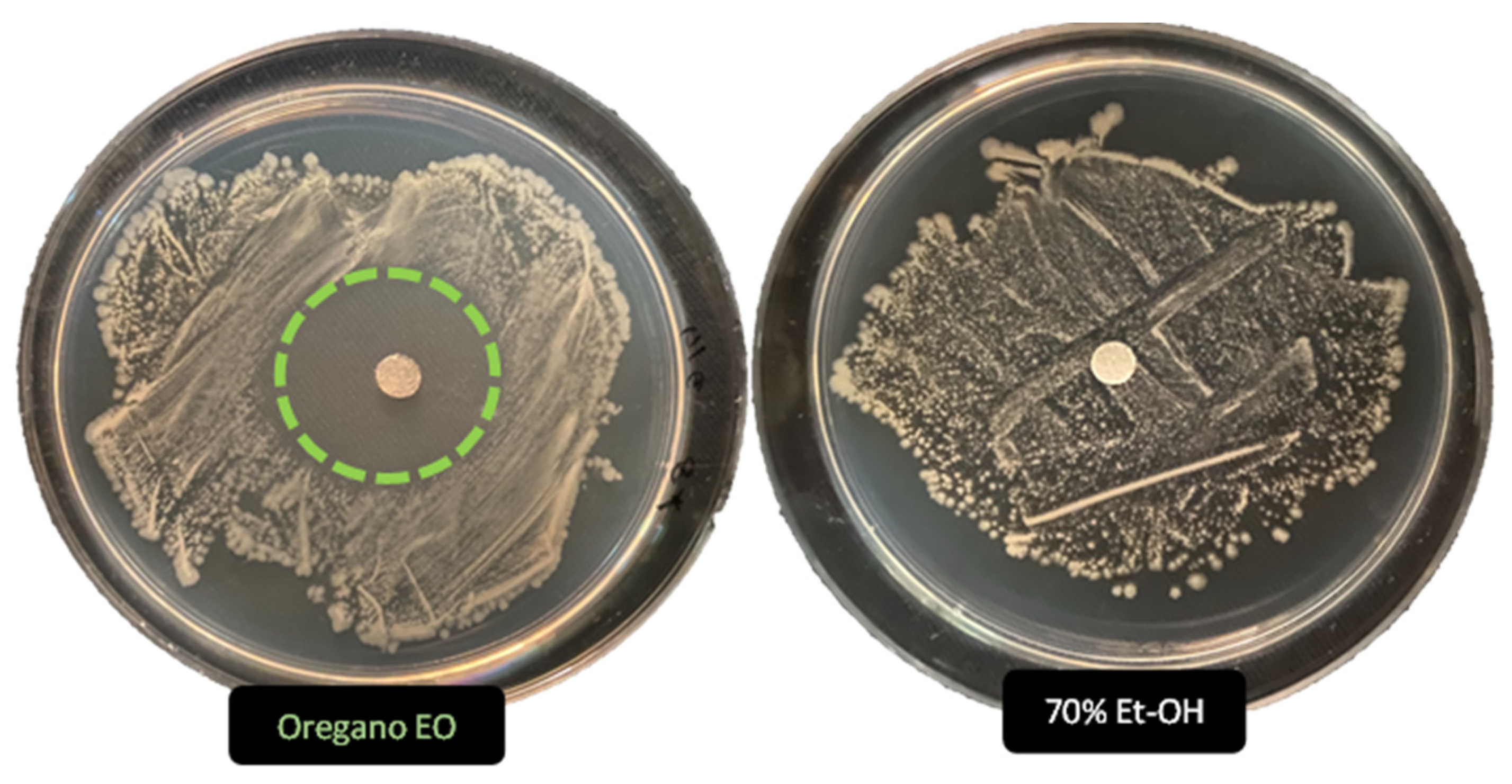 Antibiotics 12 01098 g003