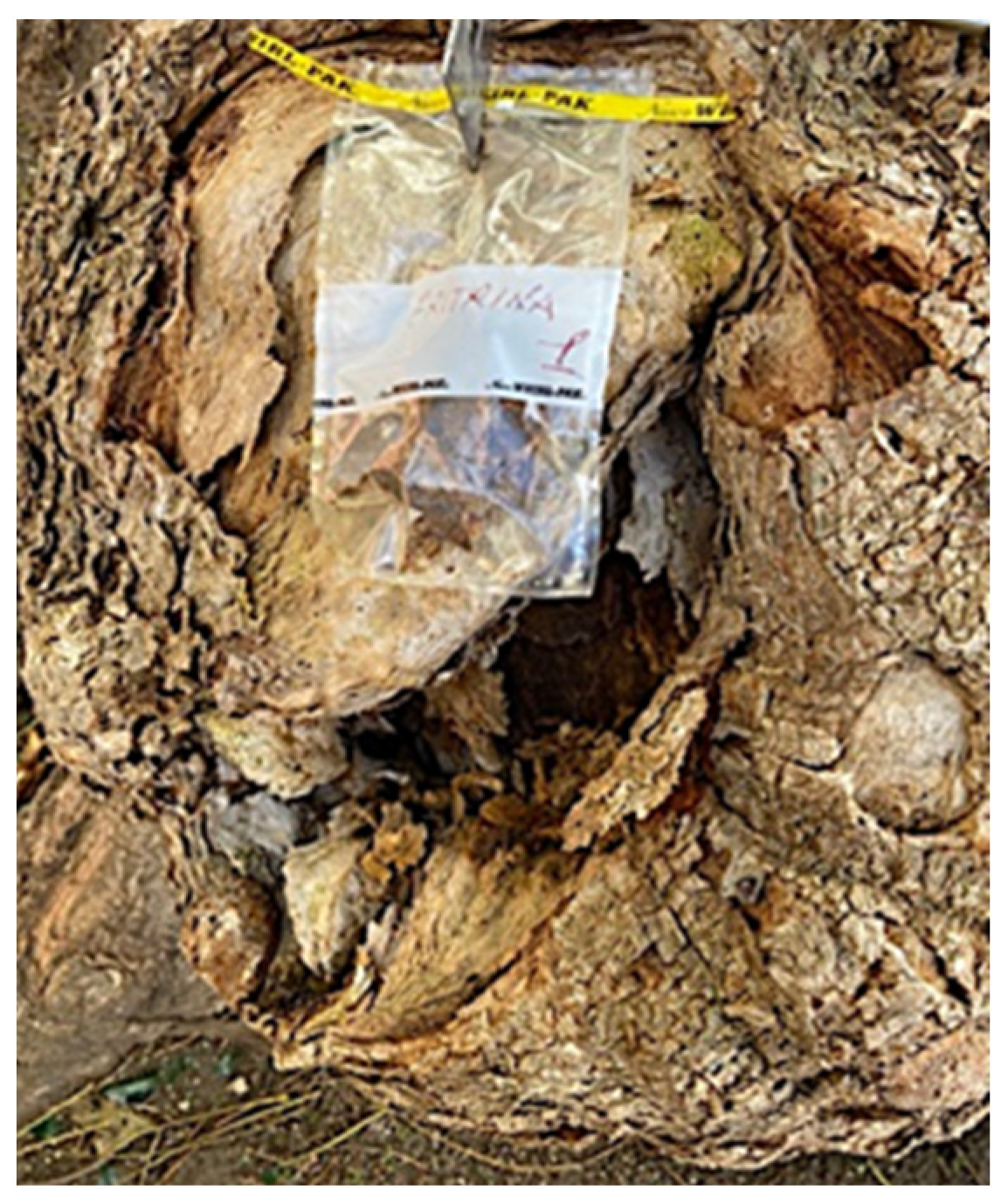 Antibiotics 12 01098 g007