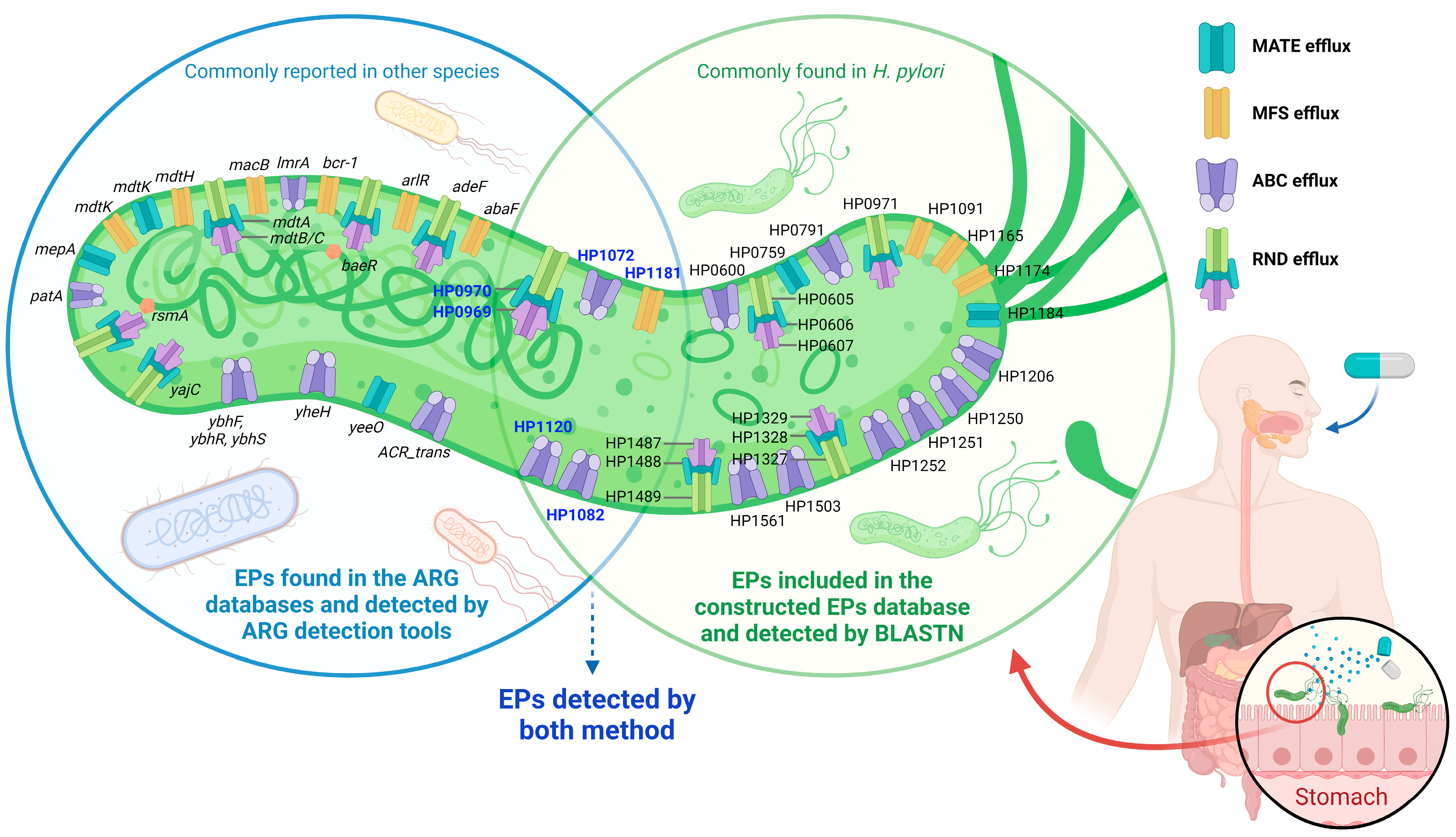 Antibiotics 12 01118 g003