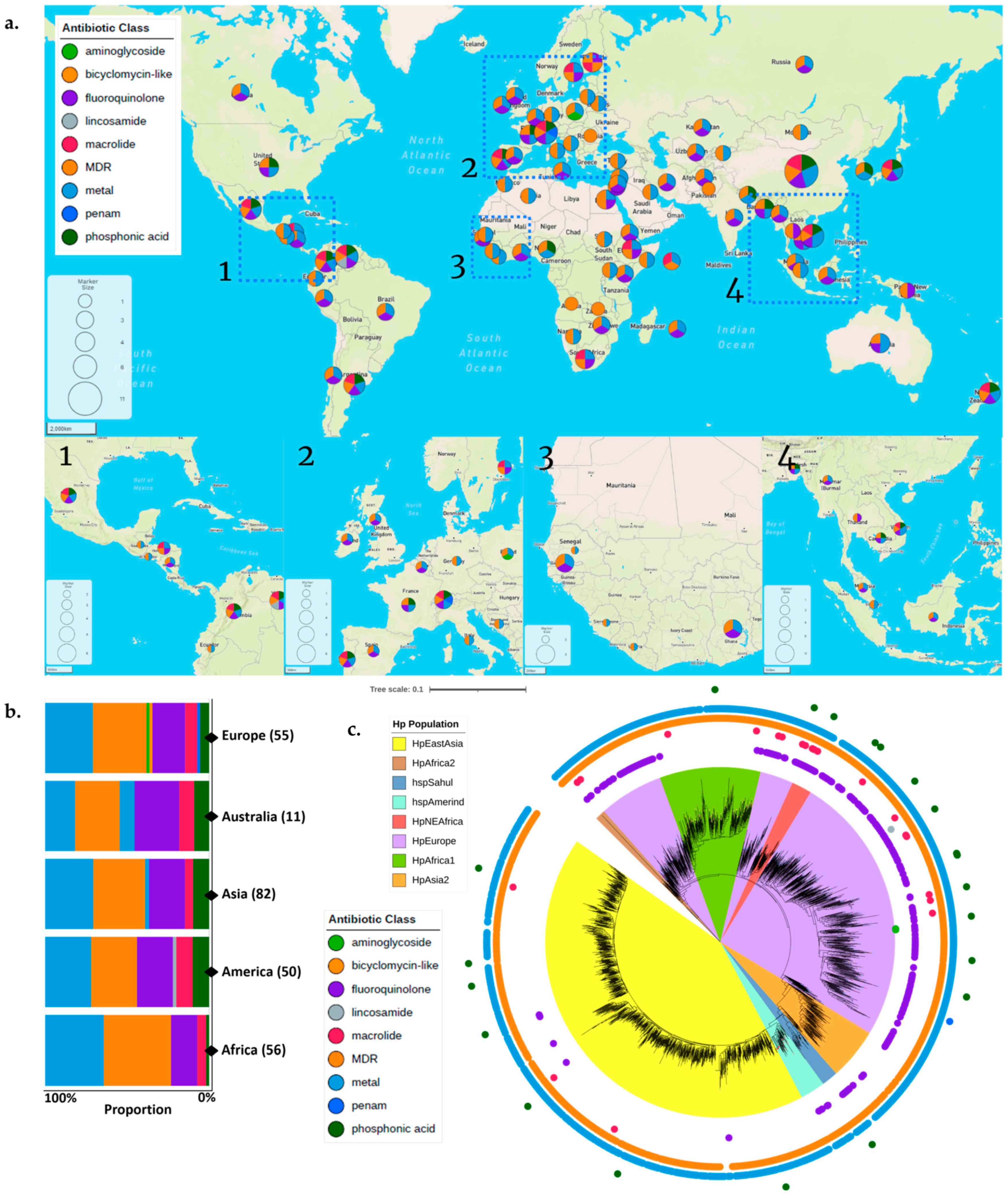 Antibiotics 12 01118 g004