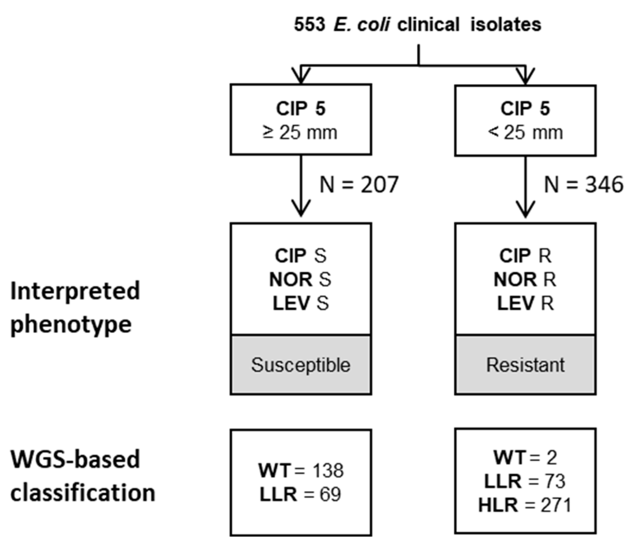 Antibiotics 12 01119 g003