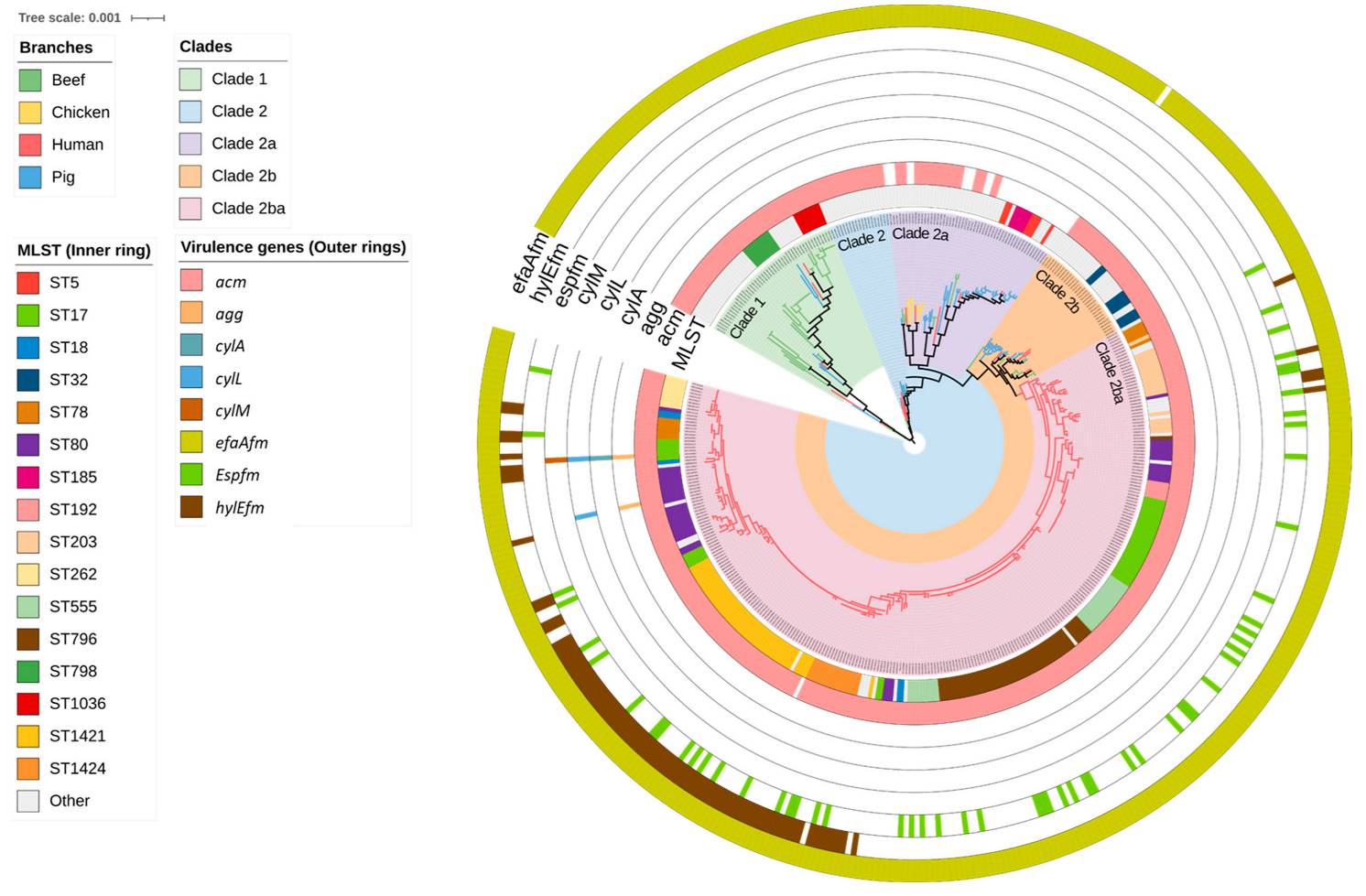 Antibiotics 12 01122 g001