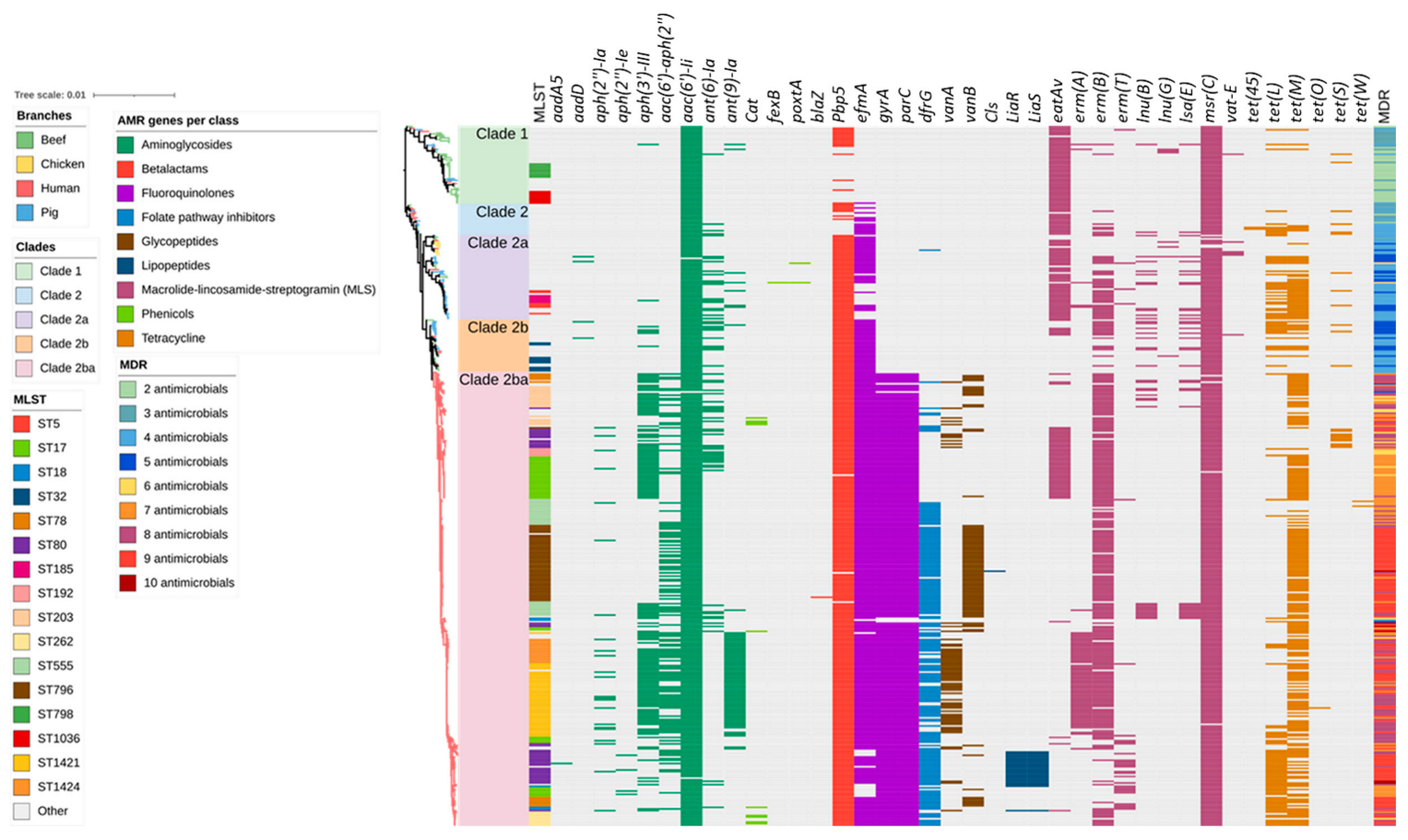Antibiotics 12 01122 g002