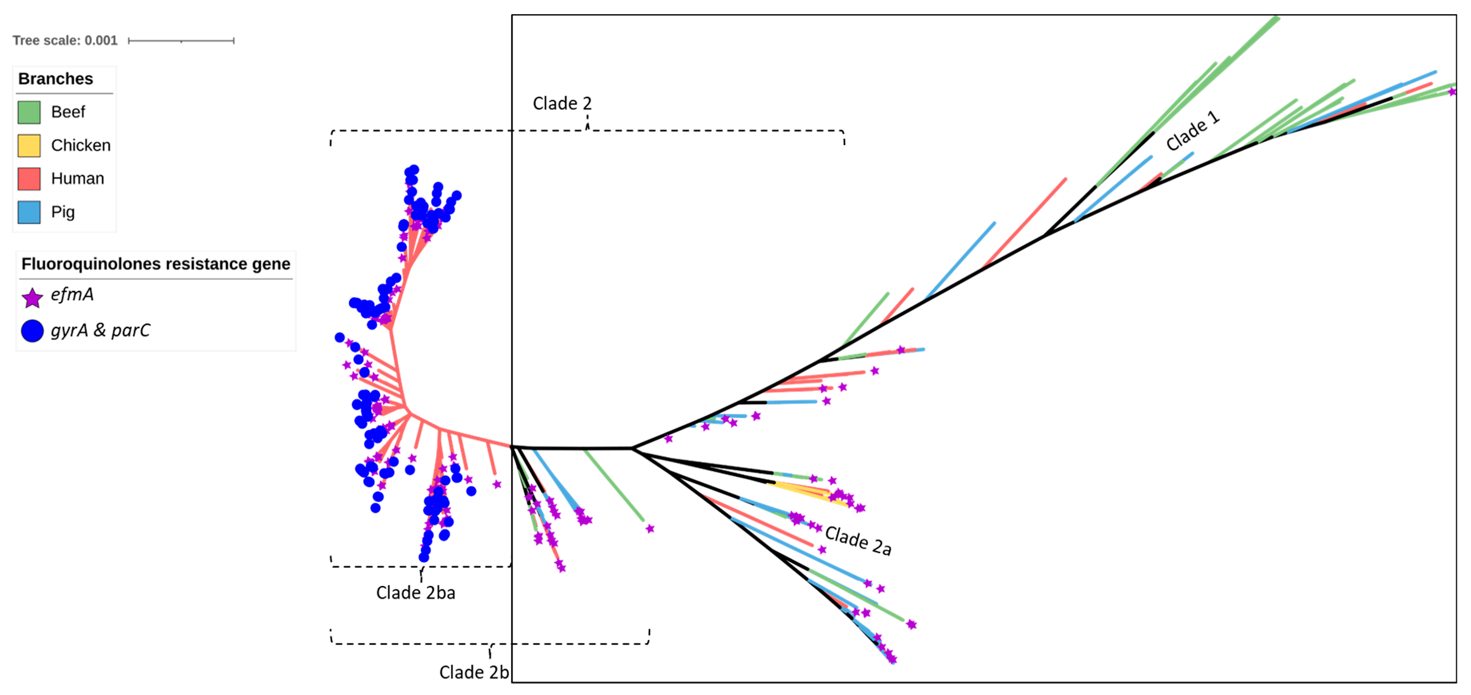Antibiotics 12 01122 g003
