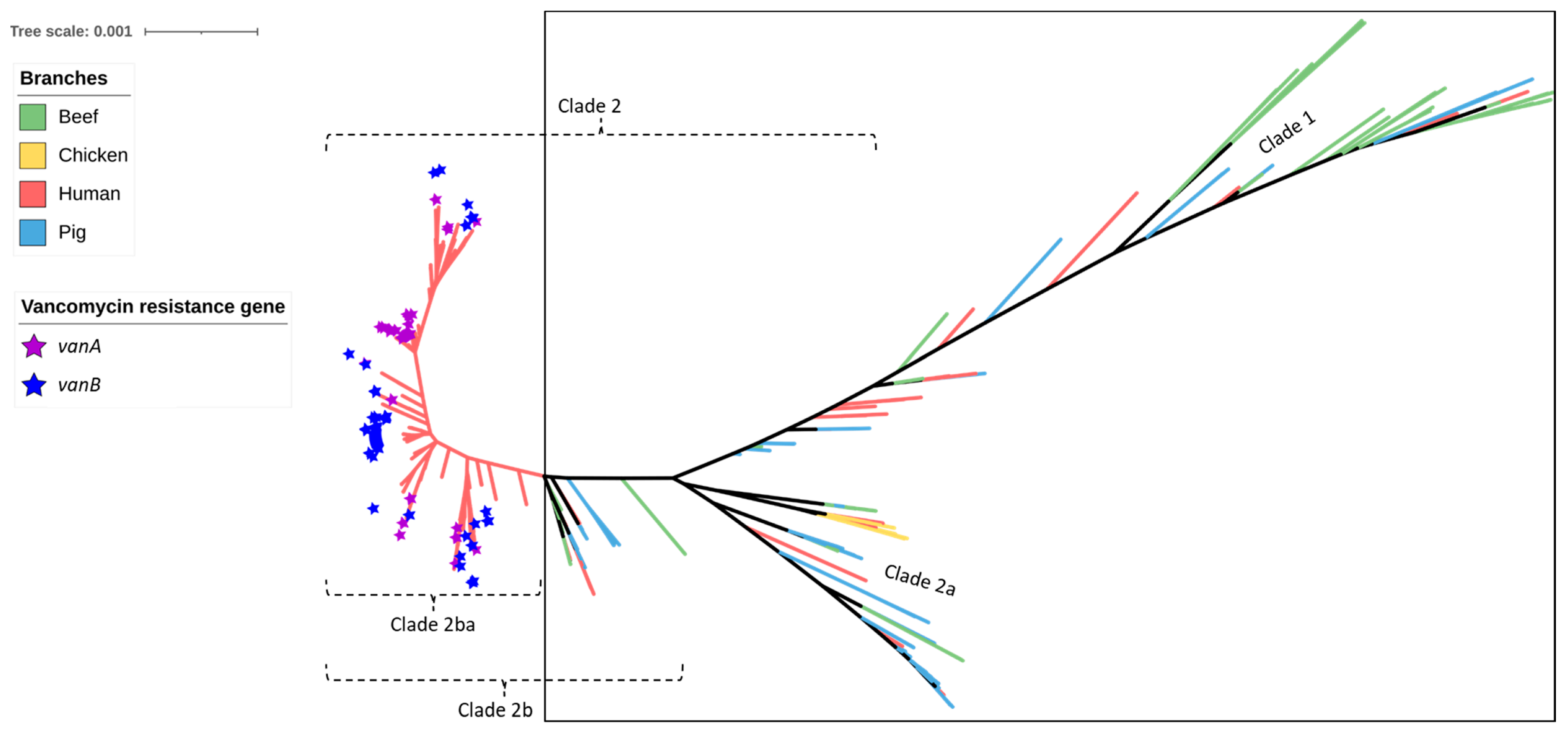 Antibiotics 12 01122 g004