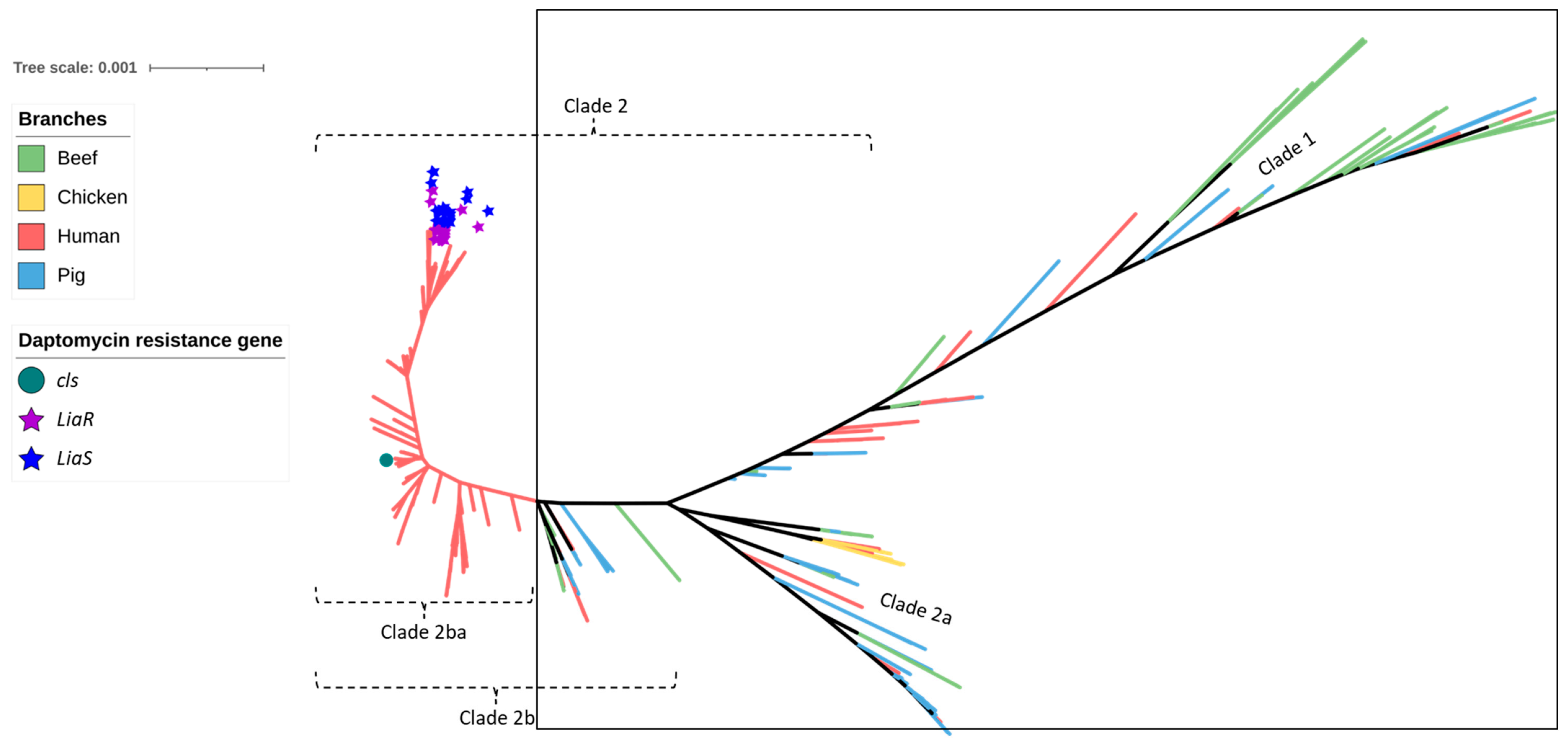 Antibiotics 12 01122 g005