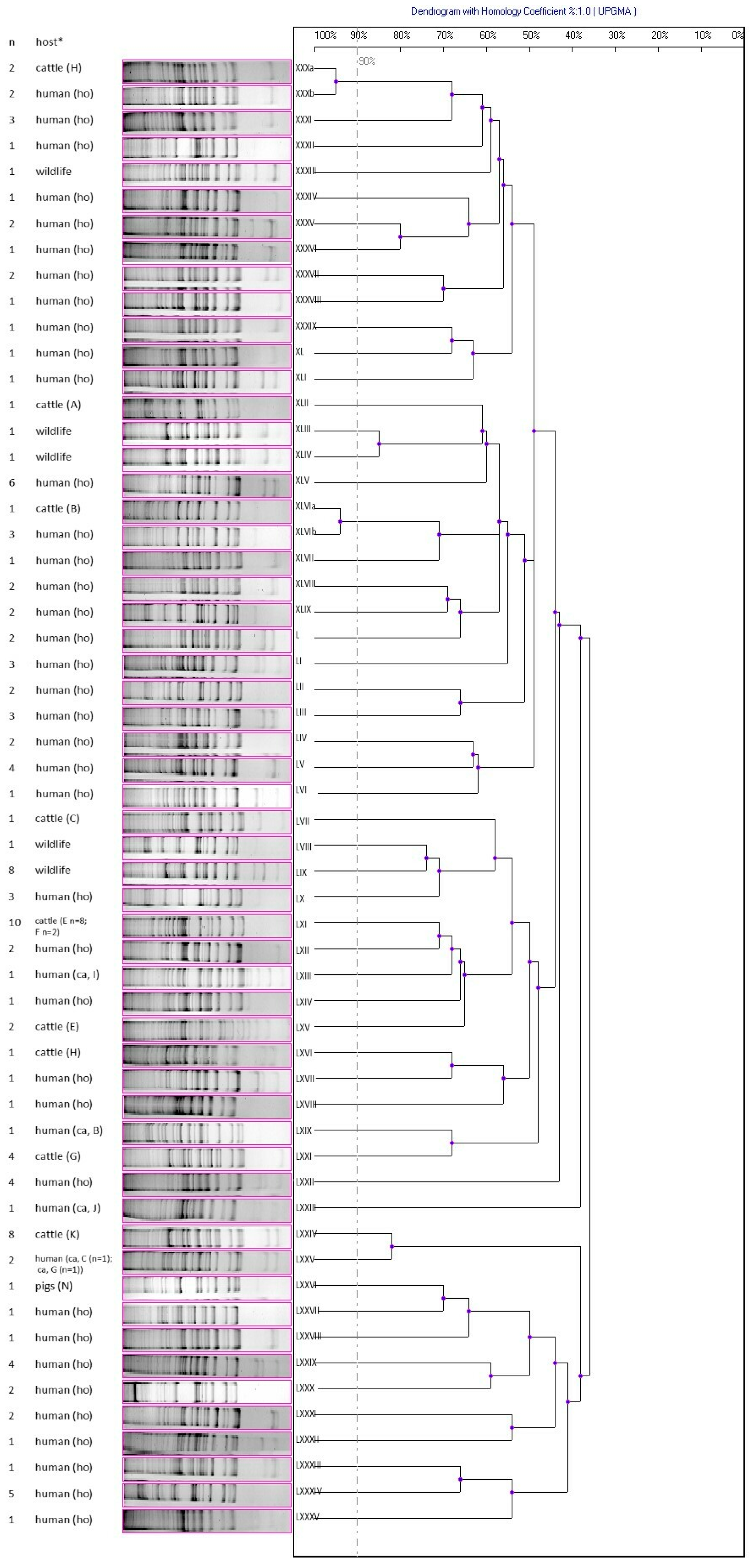Antibiotics 12 01137 g003