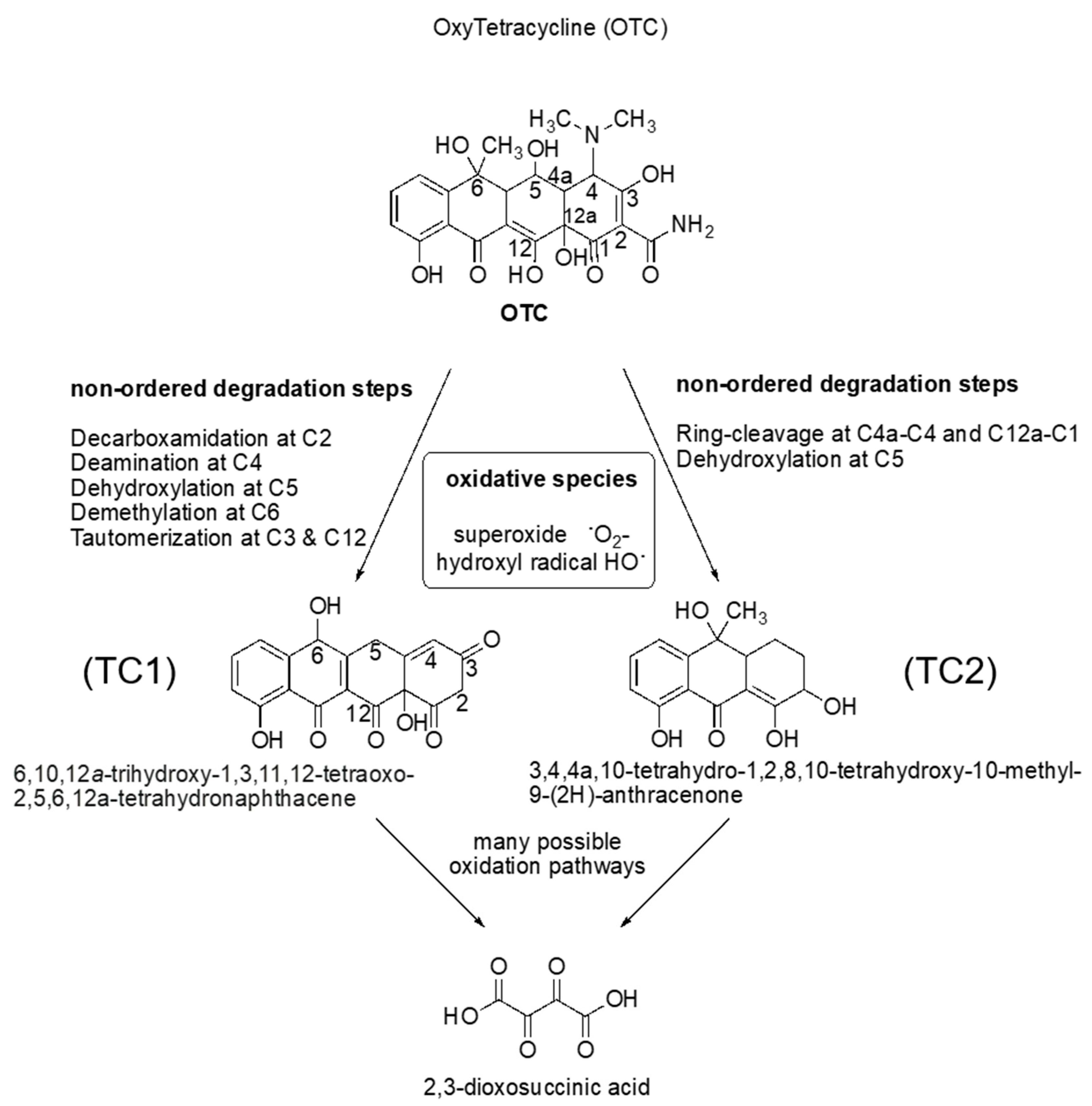 Antibiotics 12 01151 g006