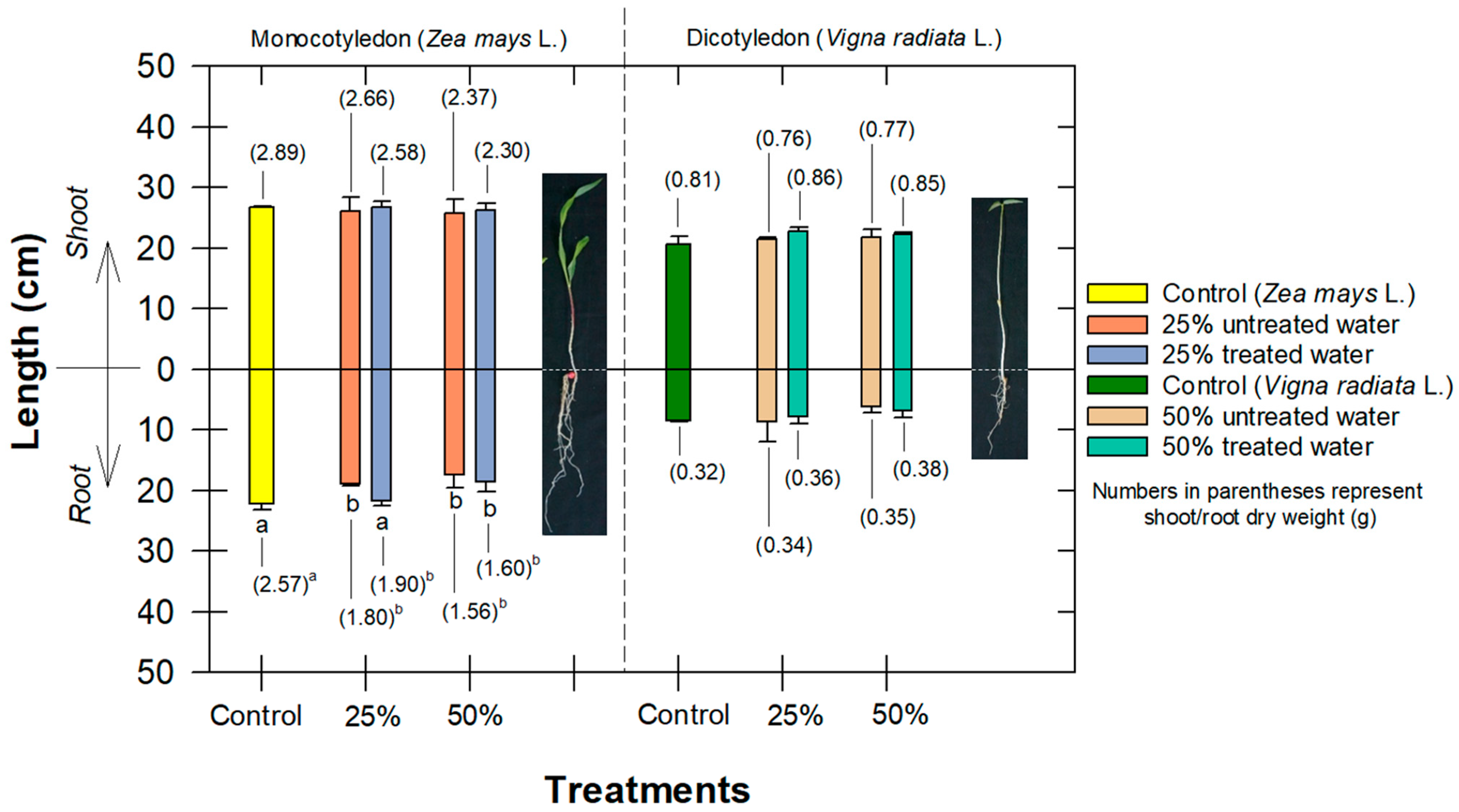 Antibiotics 12 01151 g007