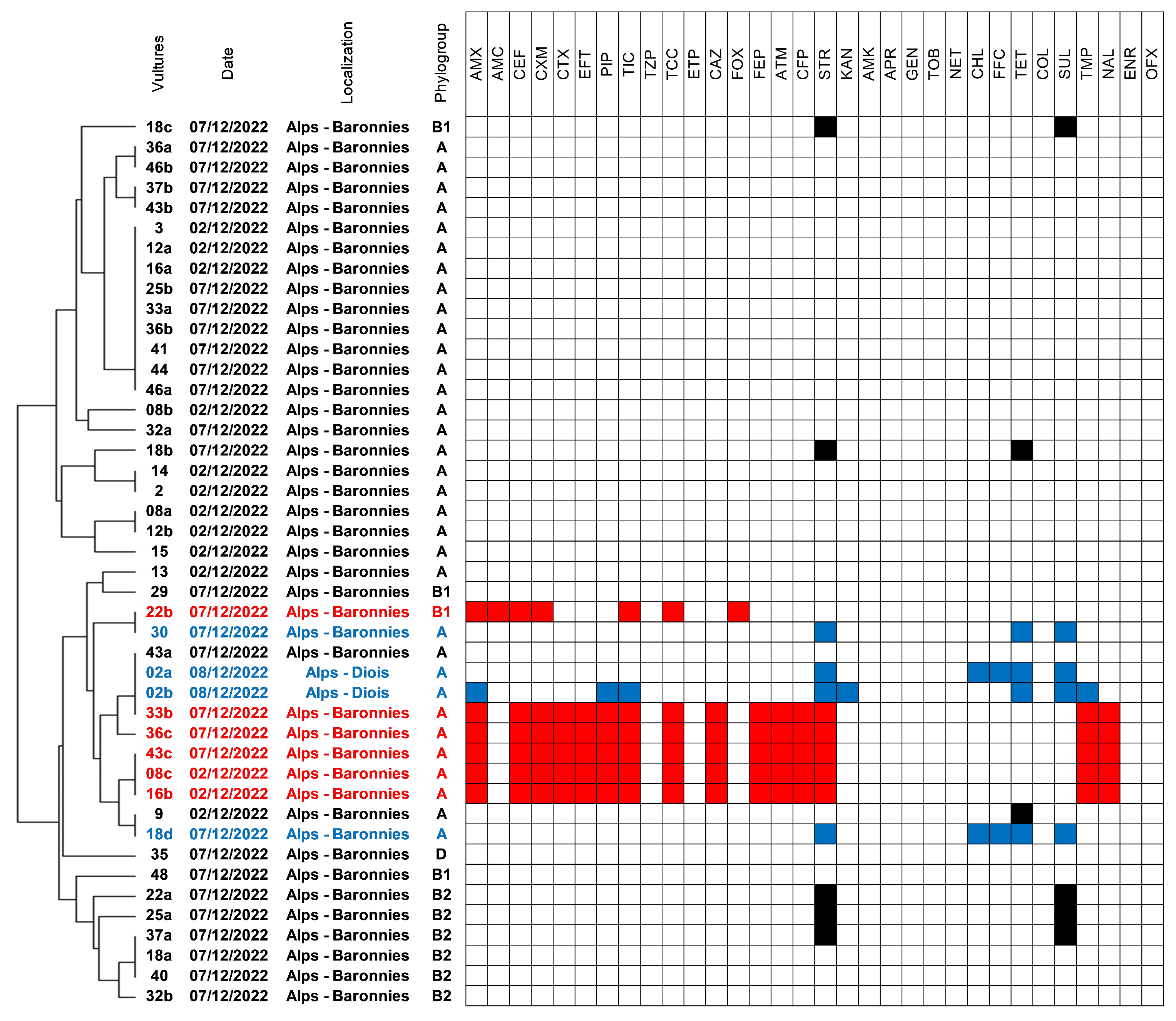 Antibiotics 12 01160 g001