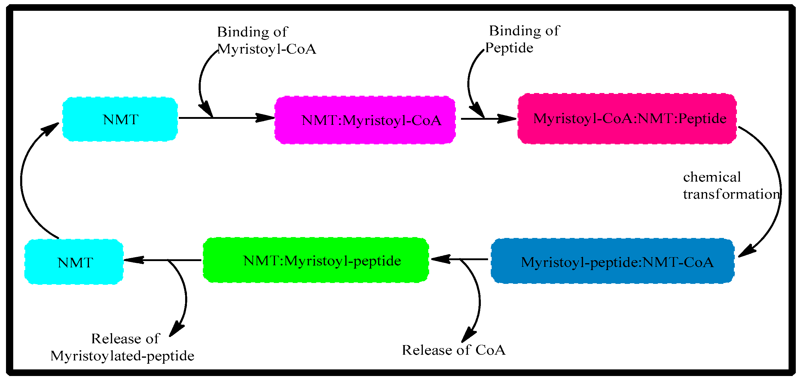 Antibiotics 12 01167 g001