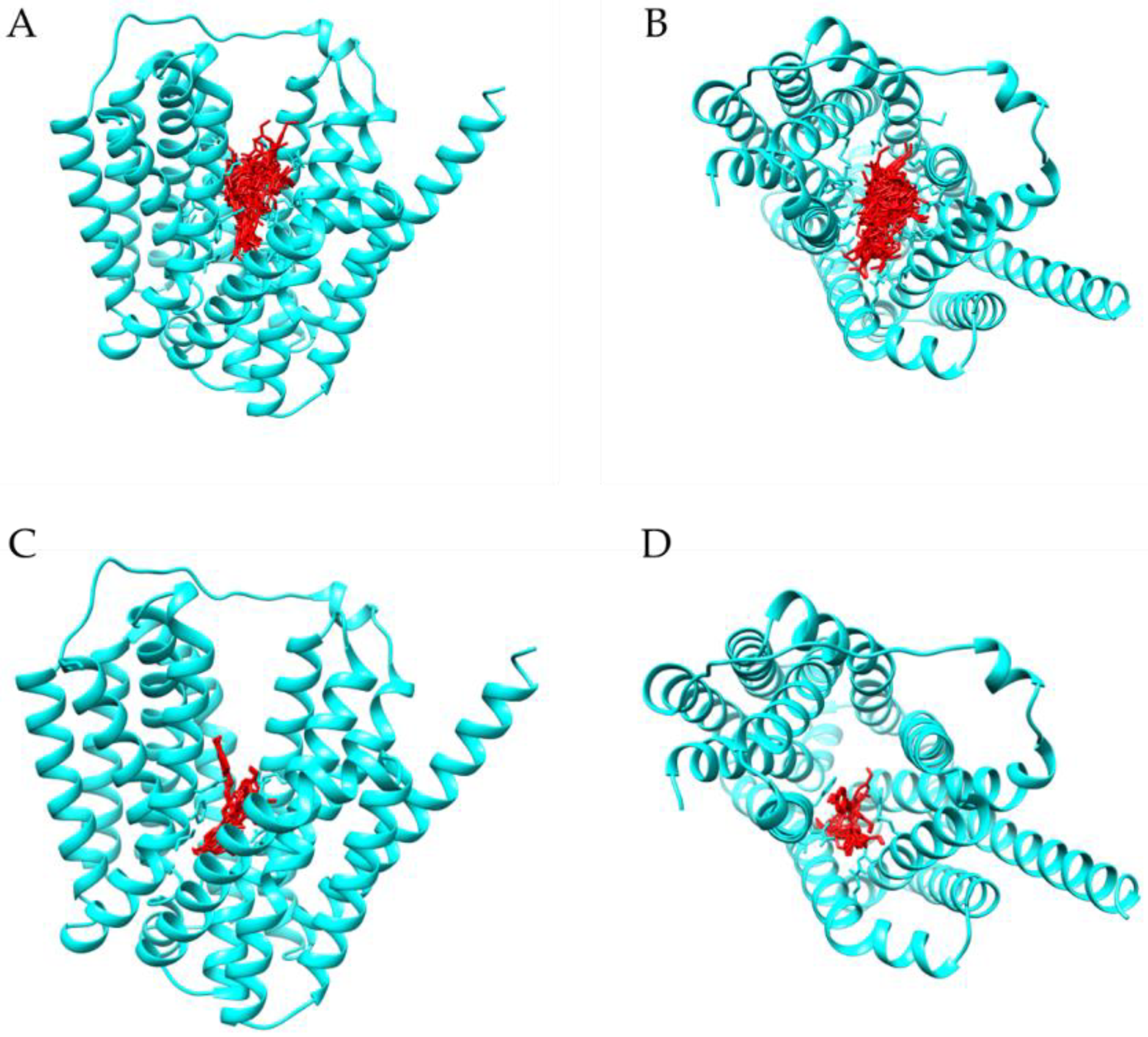 Antibiotics 12 01168 g003