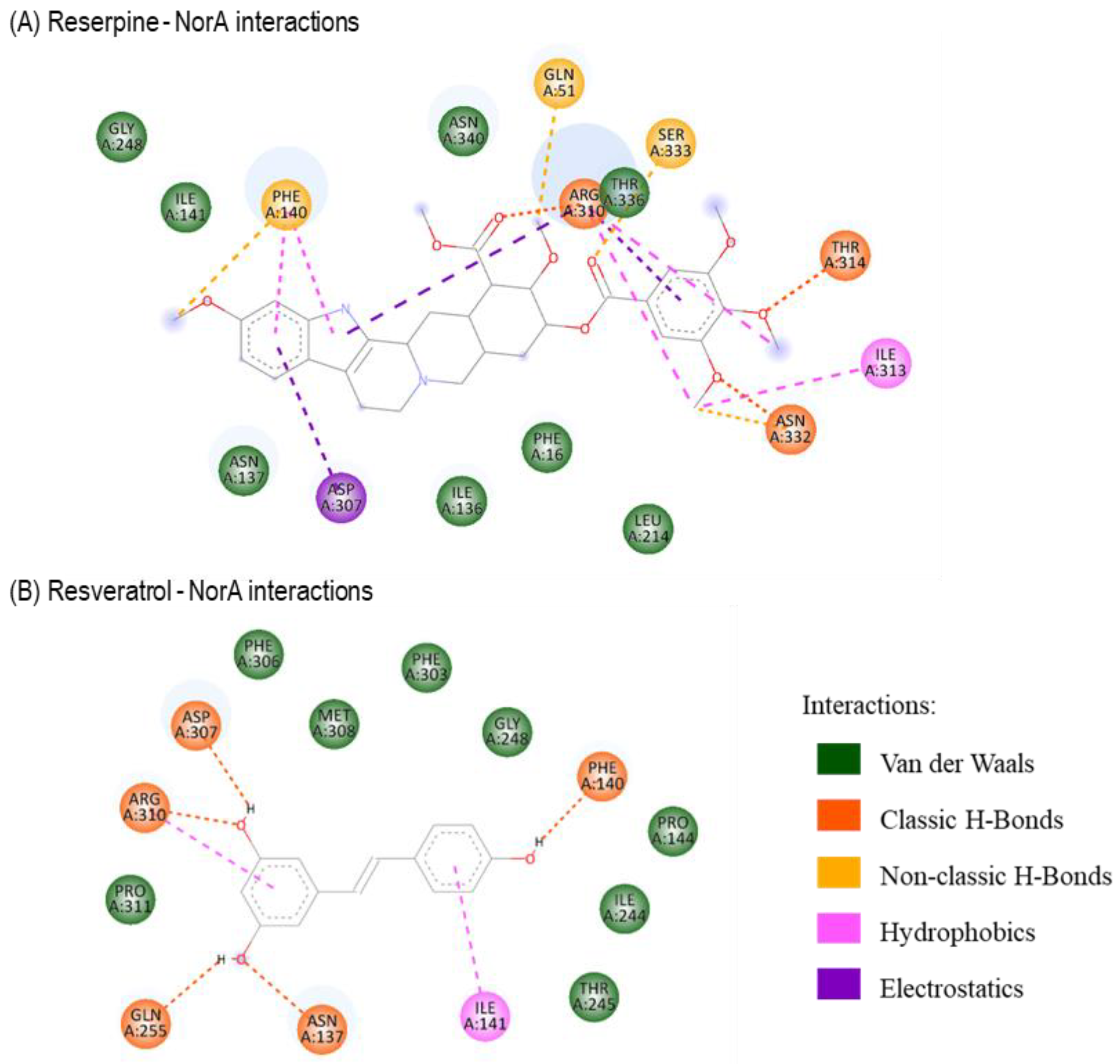 Antibiotics 12 01168 g004