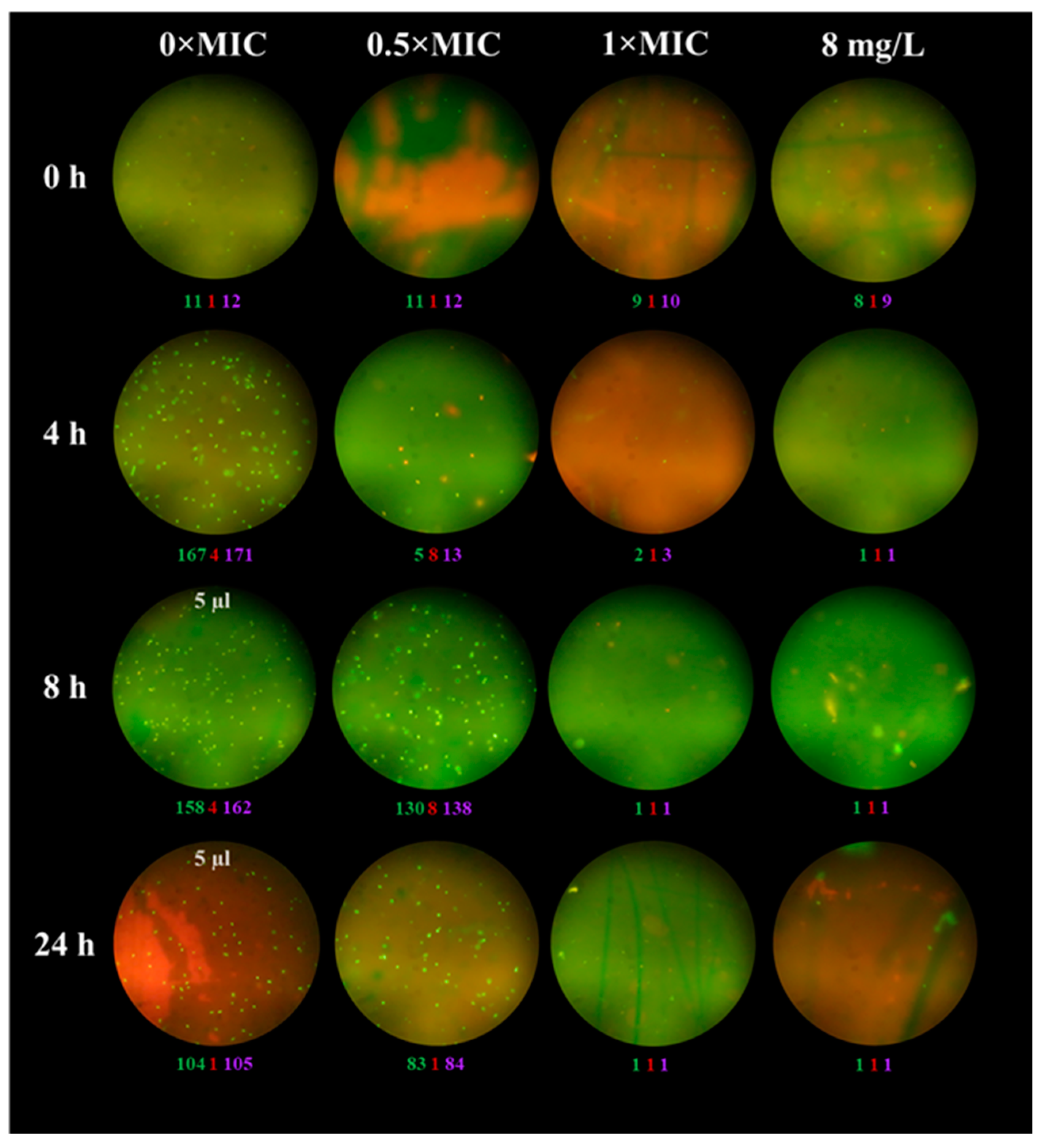 Antibiotics 12 01170 g001