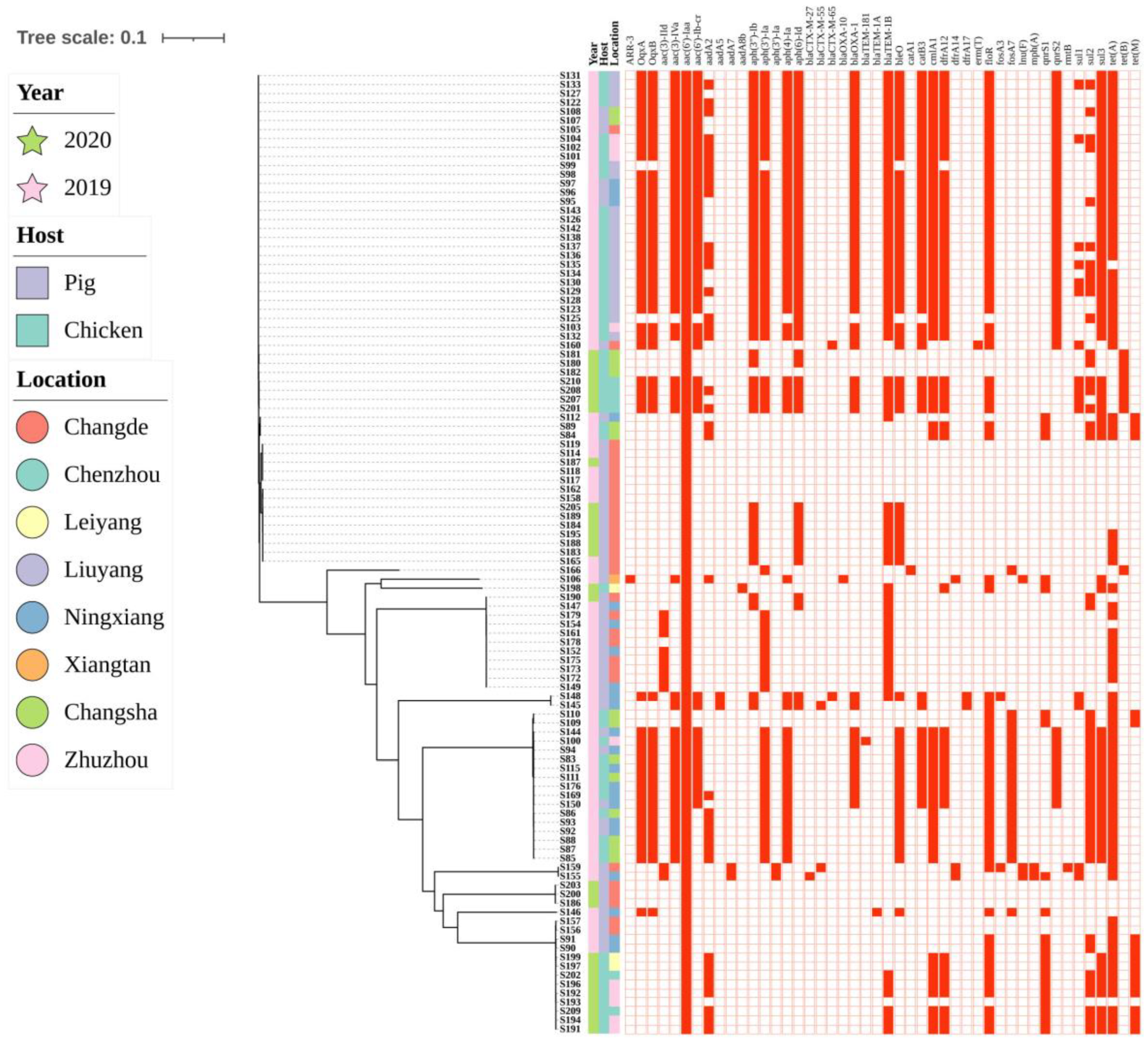 Antibiotics 12 01178 g003