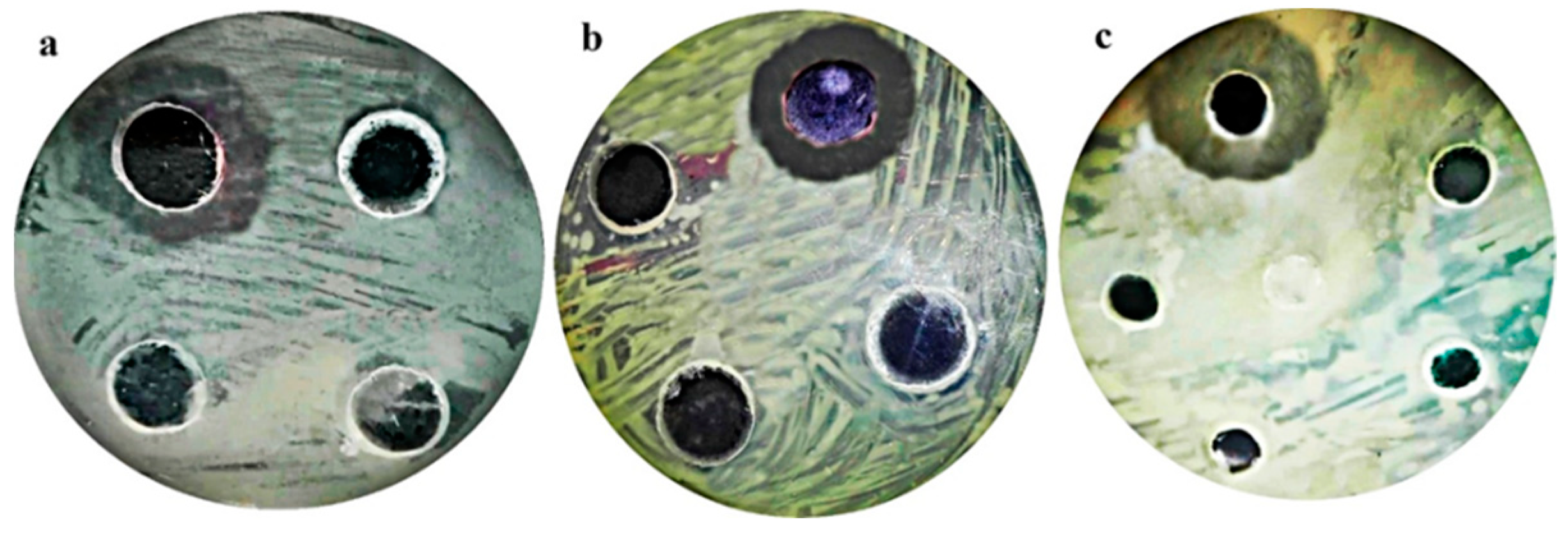 Antibiotics 12 01197 g001 Antibiotics 12 01197 g001
