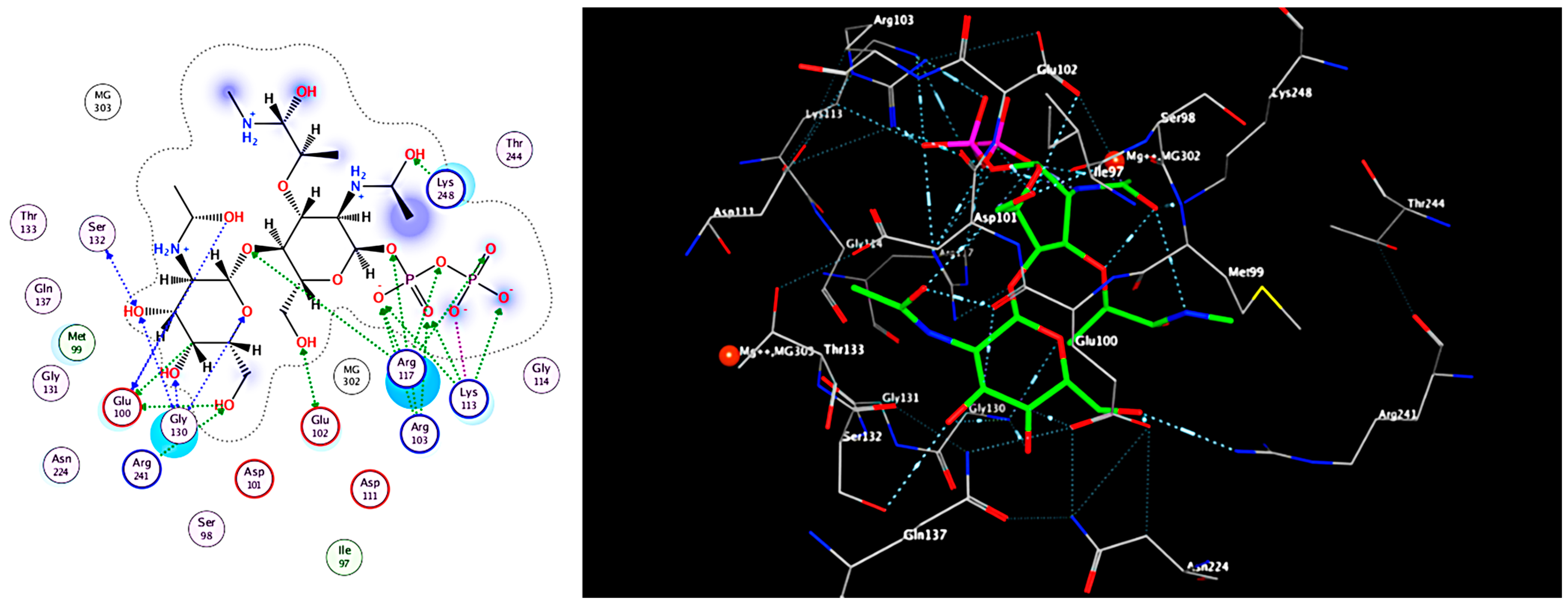 Antibiotics 12 01197 g004 Antibiotics 12 01197 g004