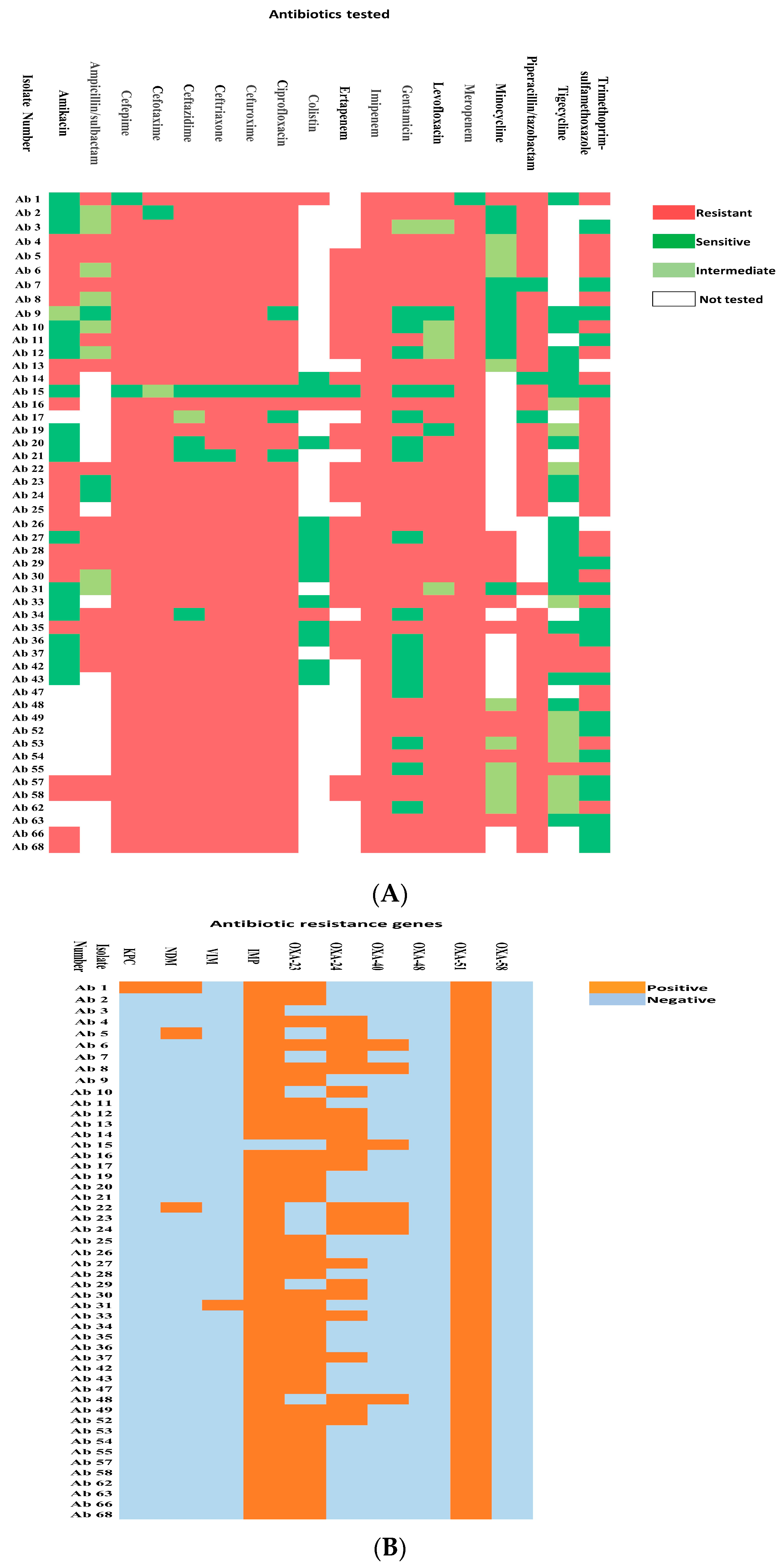 Antibiotics 12 01198 g001