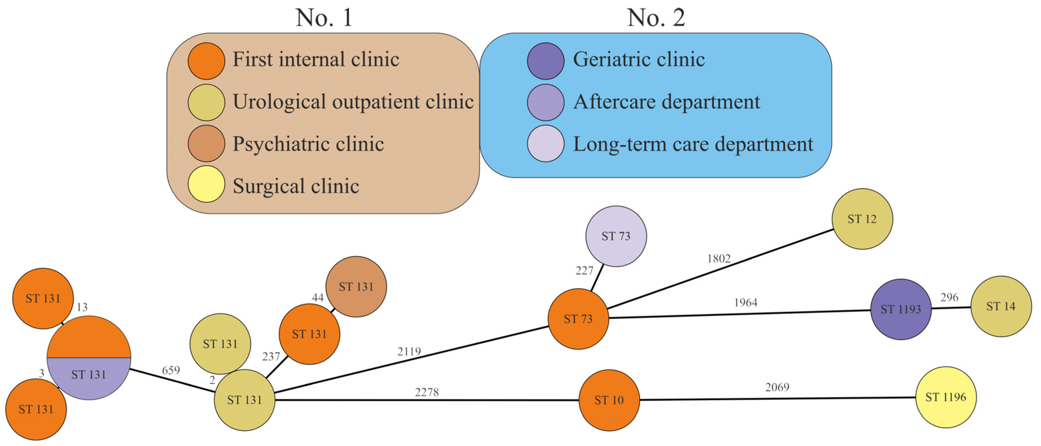 Antibiotics 12 01209 g001