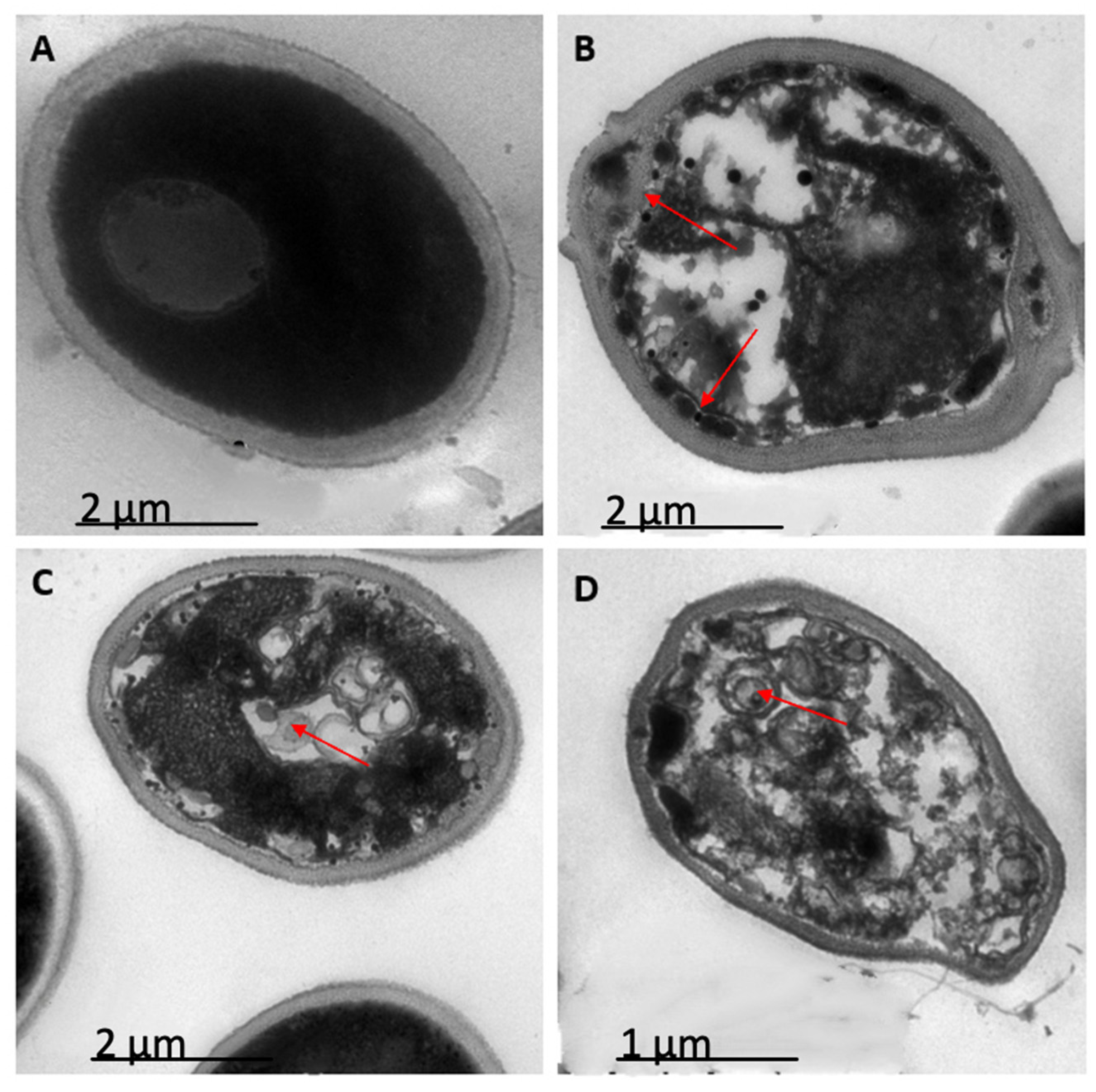 Antibiotics 12 01234 g001 Antibiotics 12 01234 g001