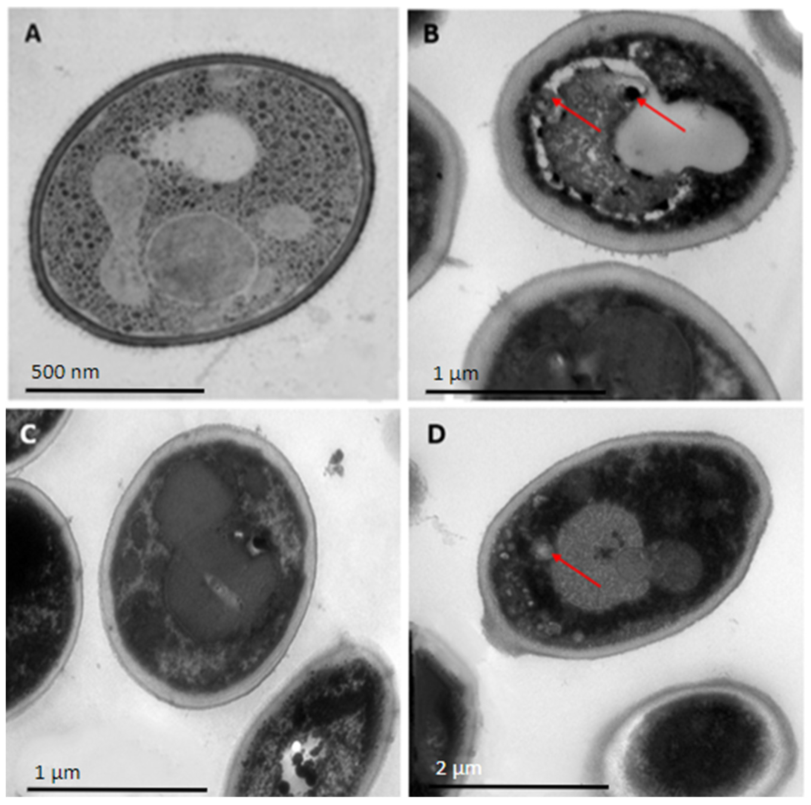 Antibiotics 12 01234 g002 Antibiotics 12 01234 g002