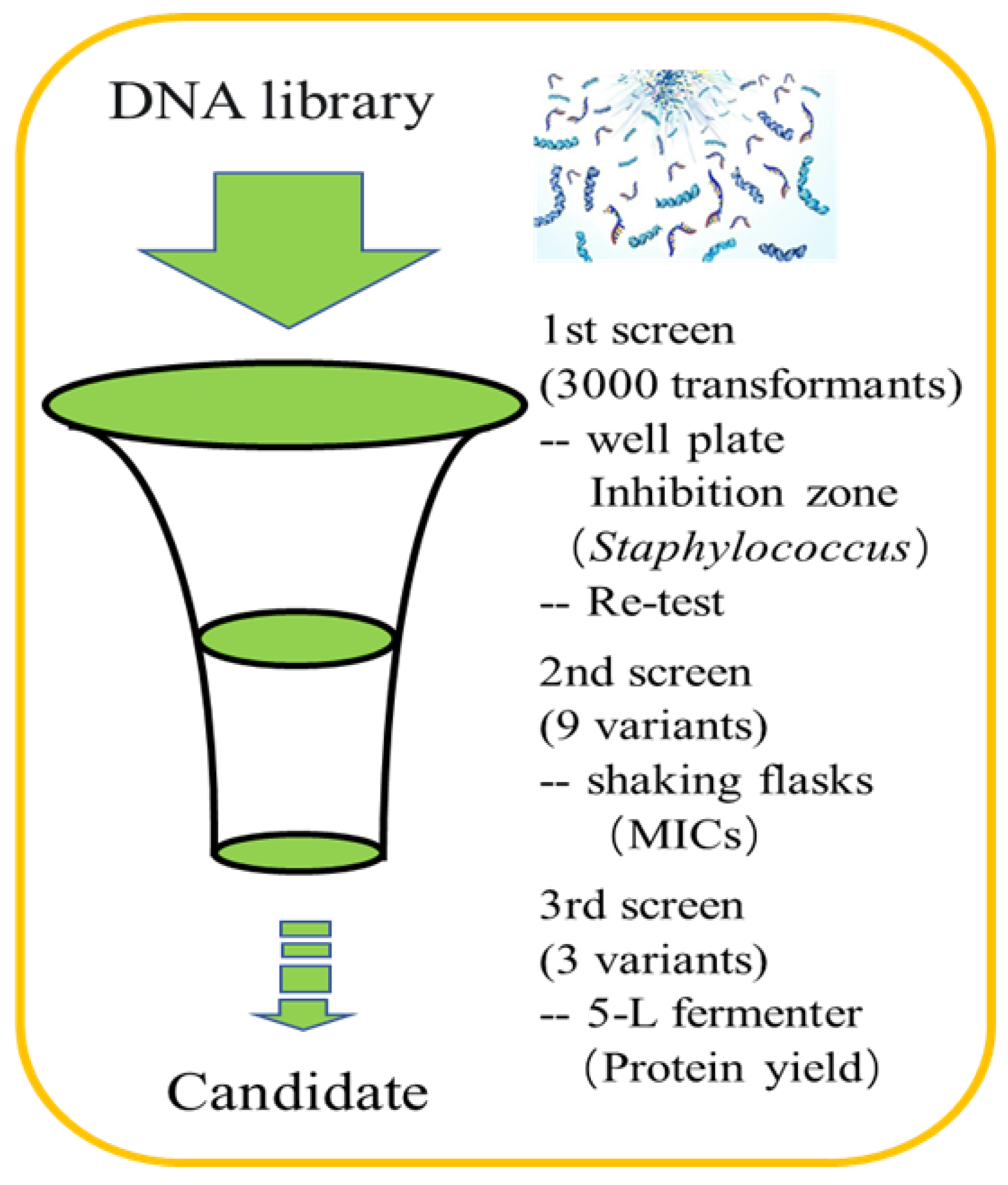 Antibiotics 12 01283 g002