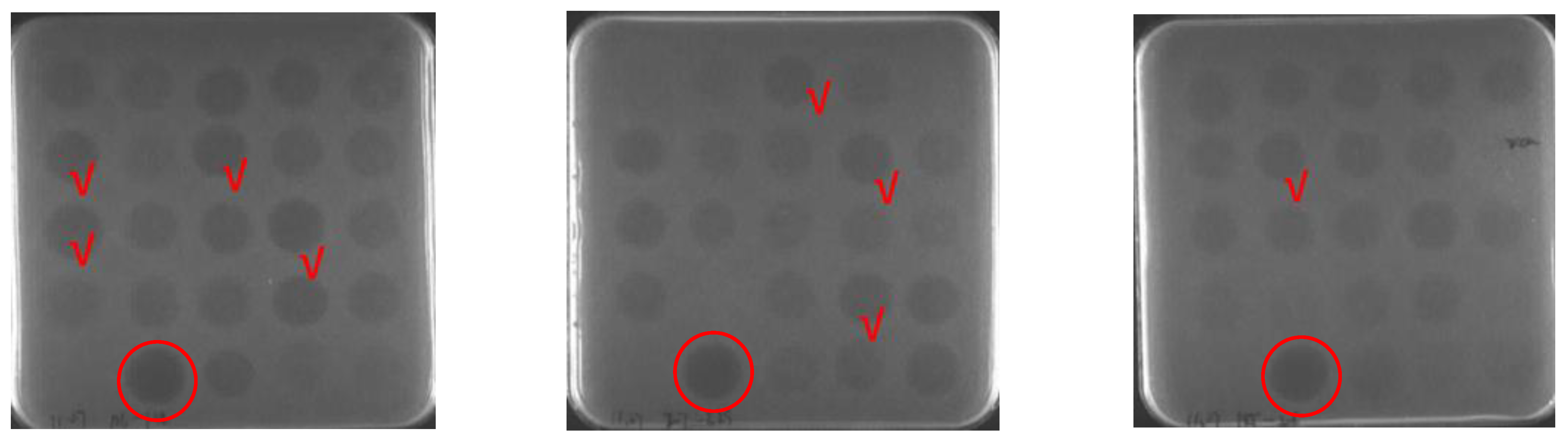 Antibiotics 12 01283 g003