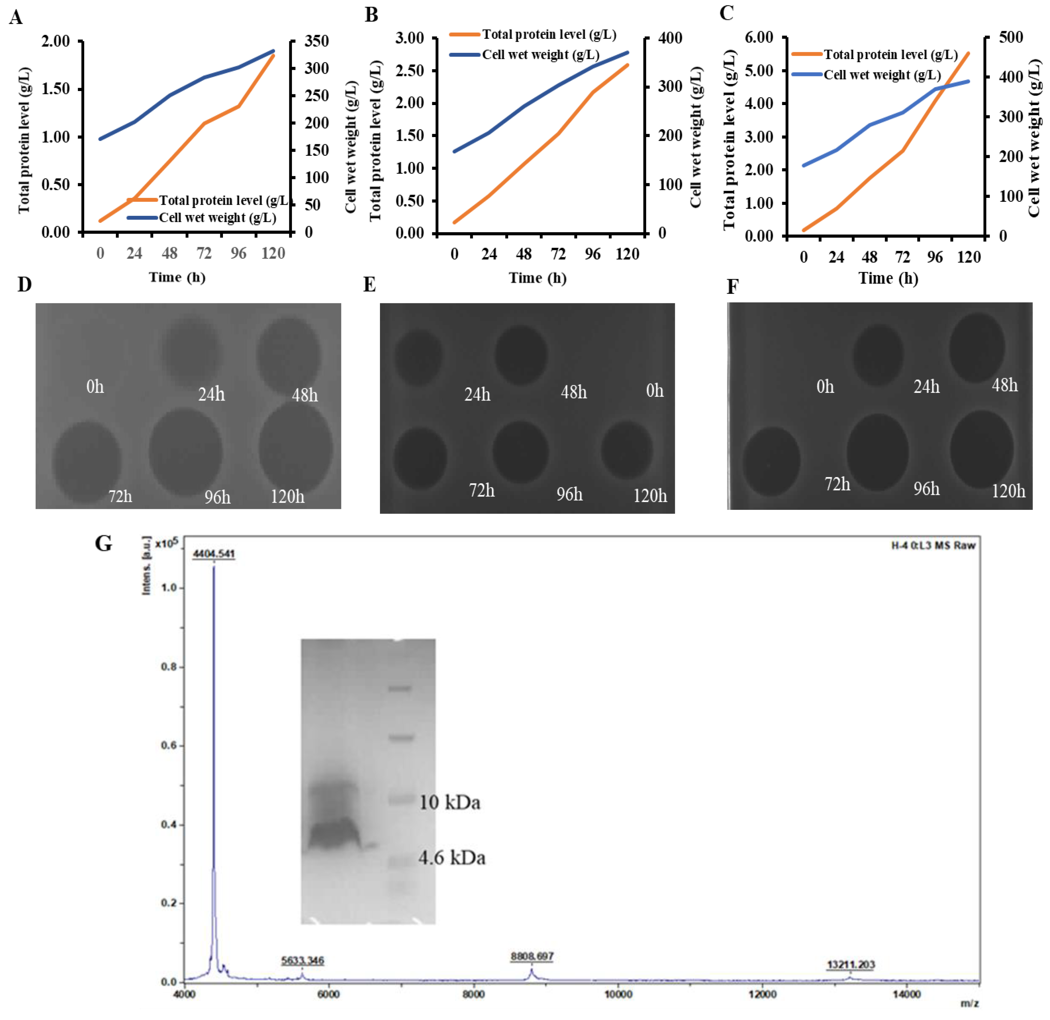 Antibiotics 12 01283 g004