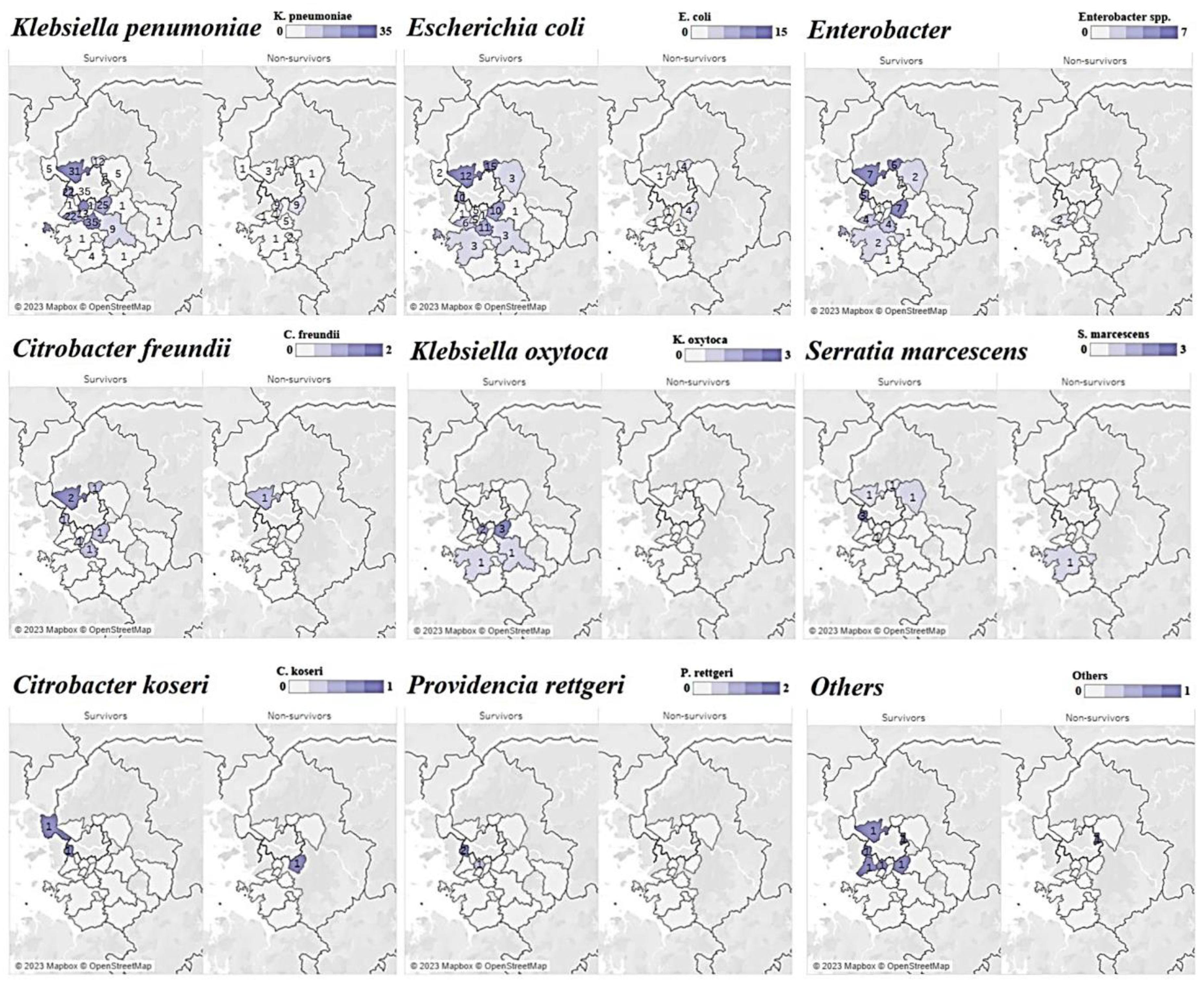 Antibiotics 12 01286 g002