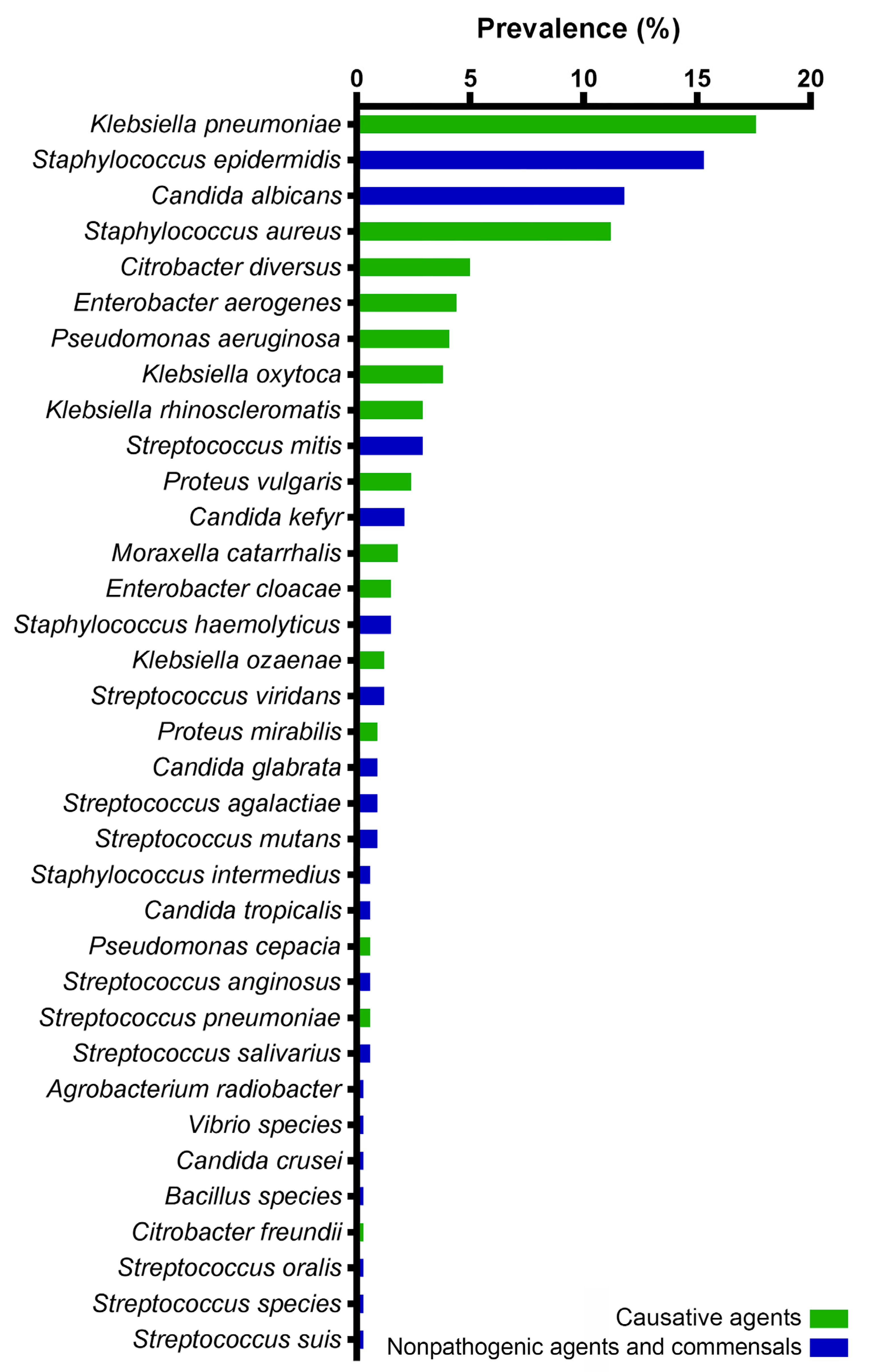 Antibiotics 12 01297 g001 Antibiotics 12 01297 g001
