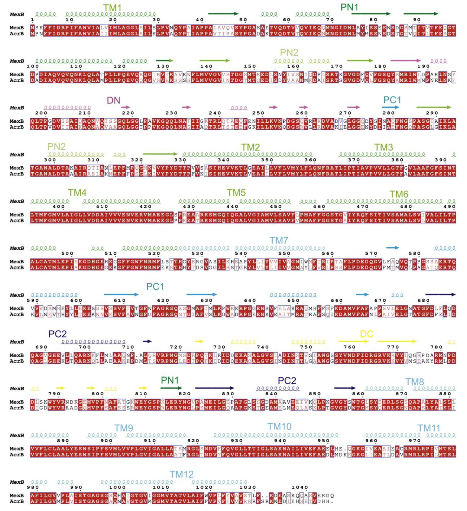 Antibiotics 12 01304 g017 Antibiotics 12 01304 g017