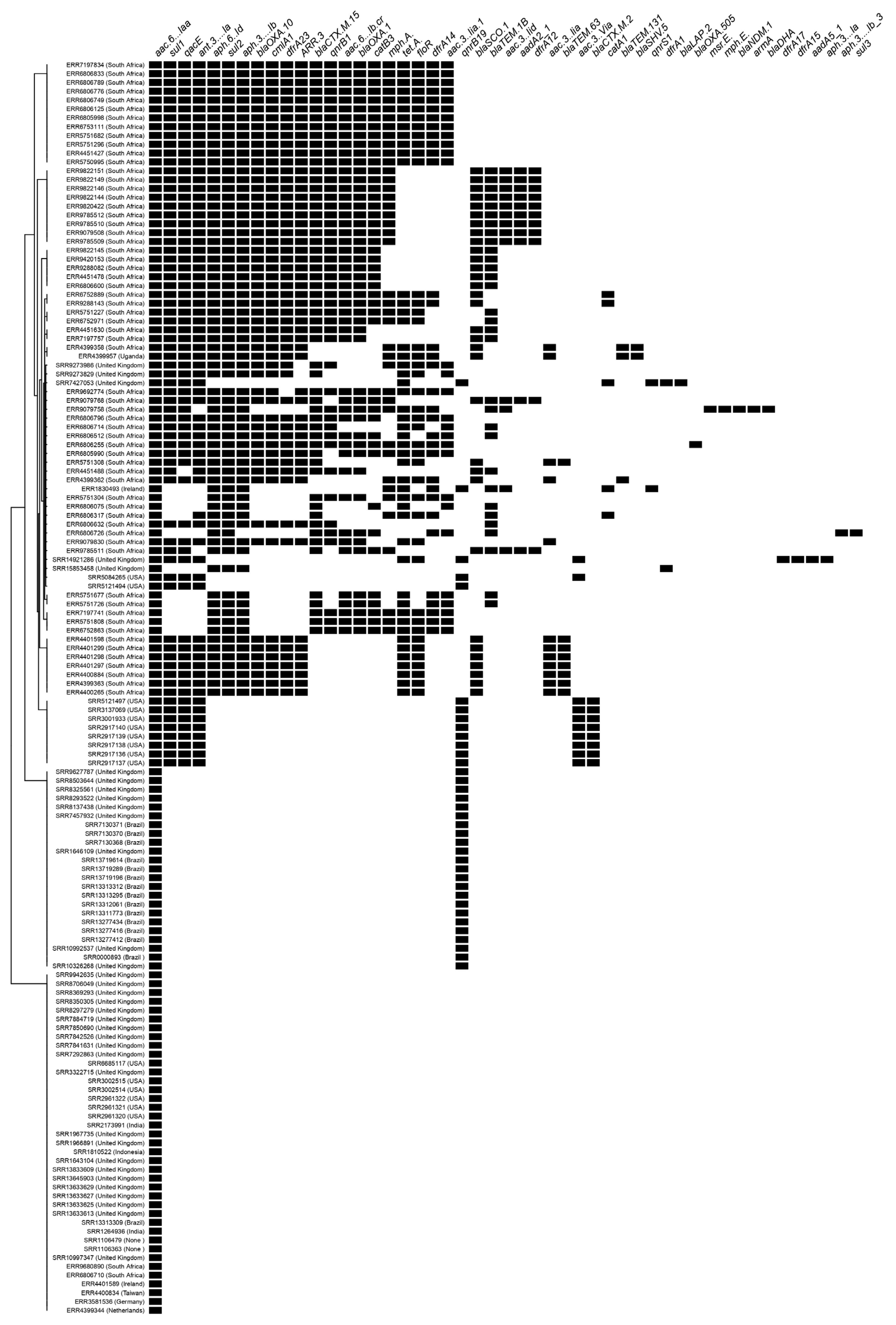 Antibiotics 12 01309 g001
