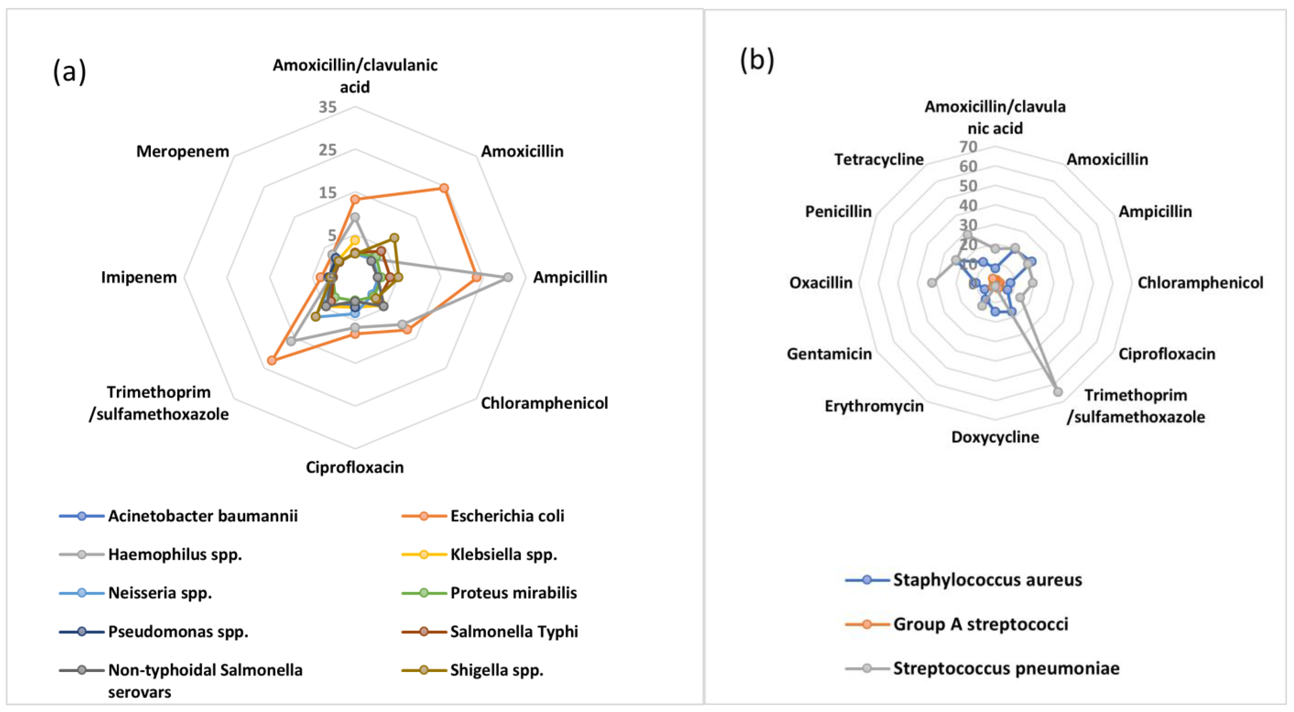 Antibiotics 12 01313 g001