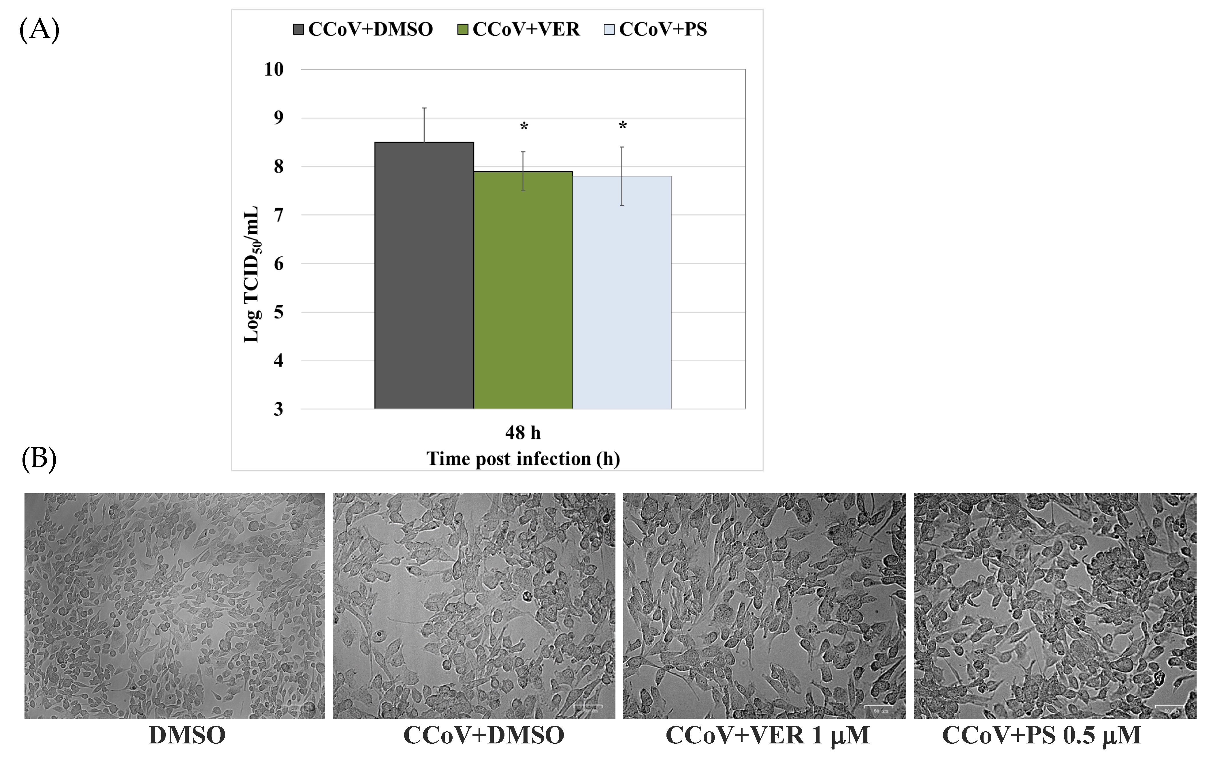 Antibiotics 12 01319 g005