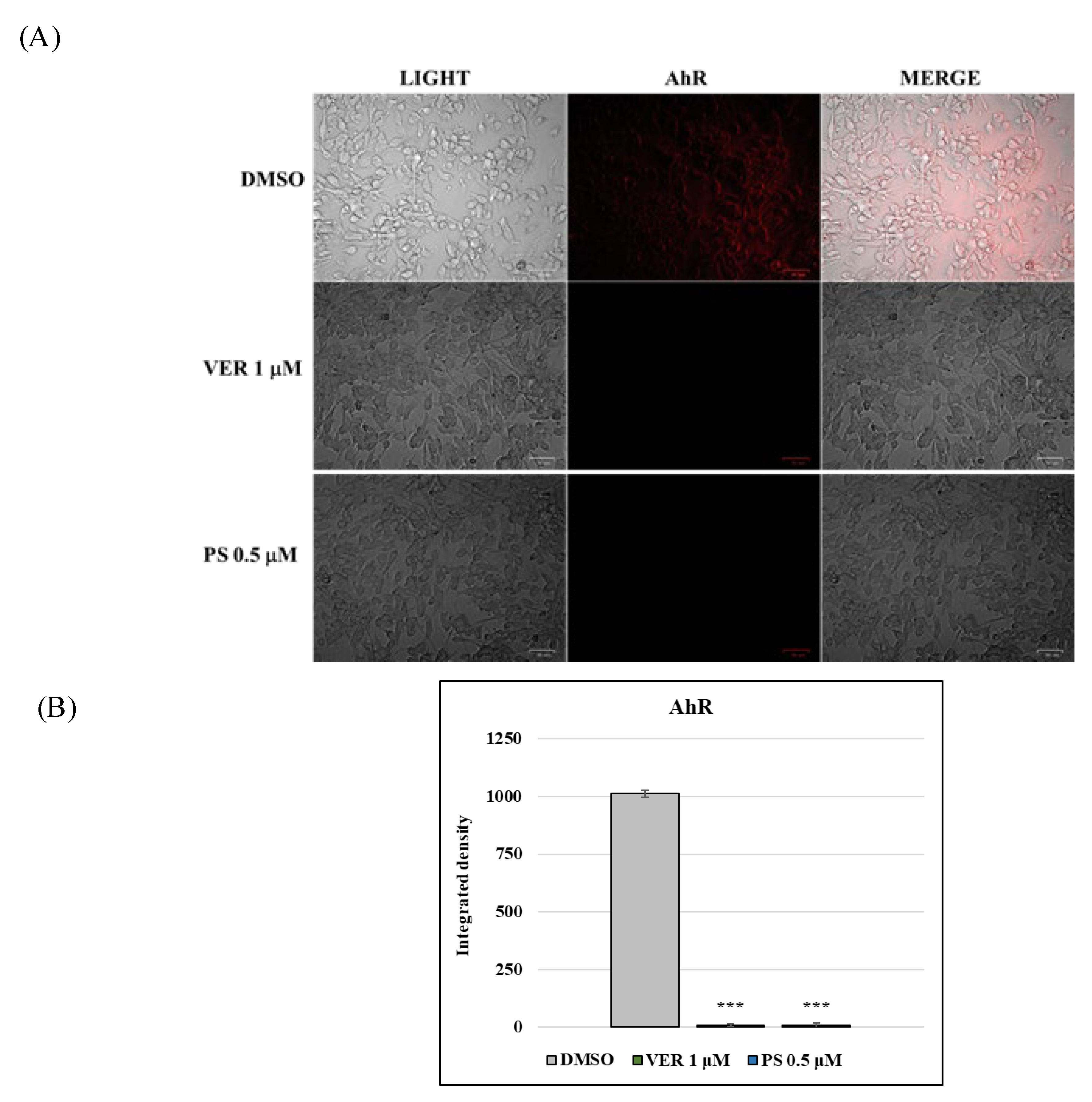 Antibiotics 12 01319 g006