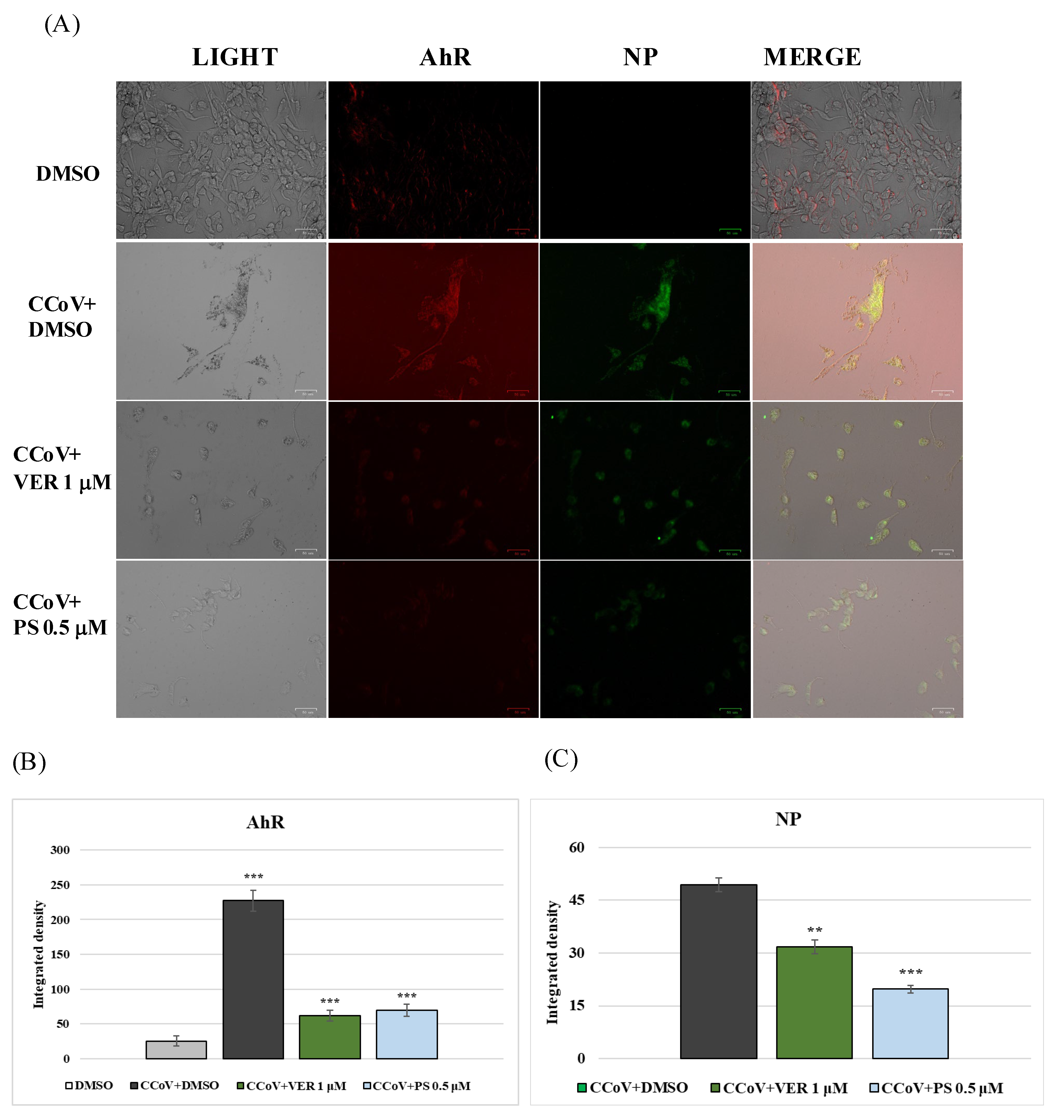 Antibiotics 12 01319 g007