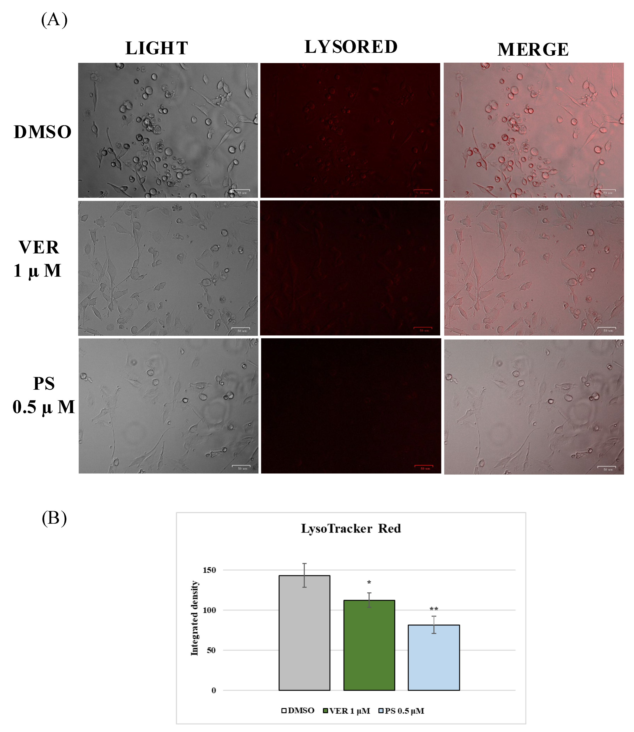 Antibiotics 12 01319 g008