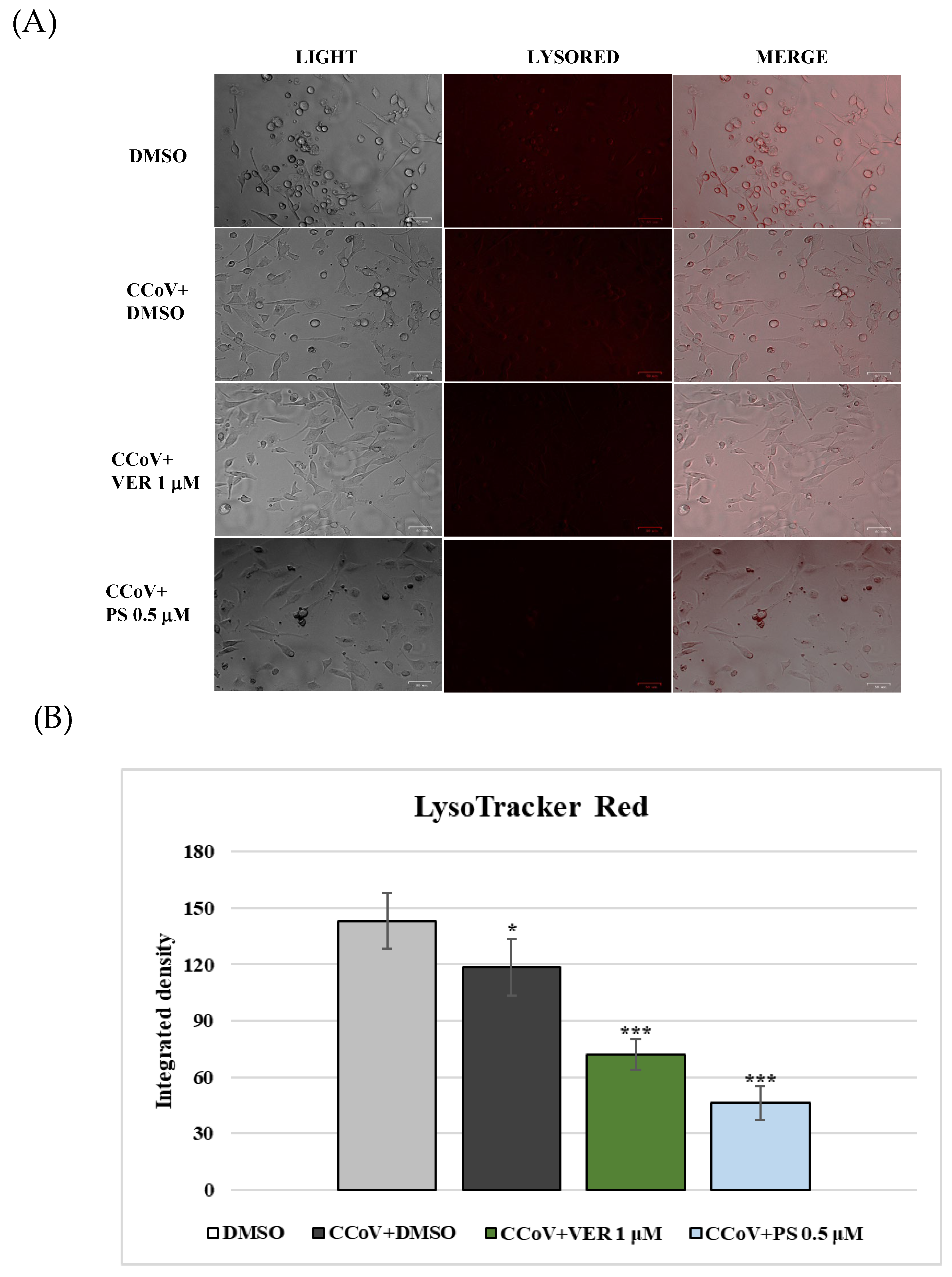 Antibiotics 12 01319 g010