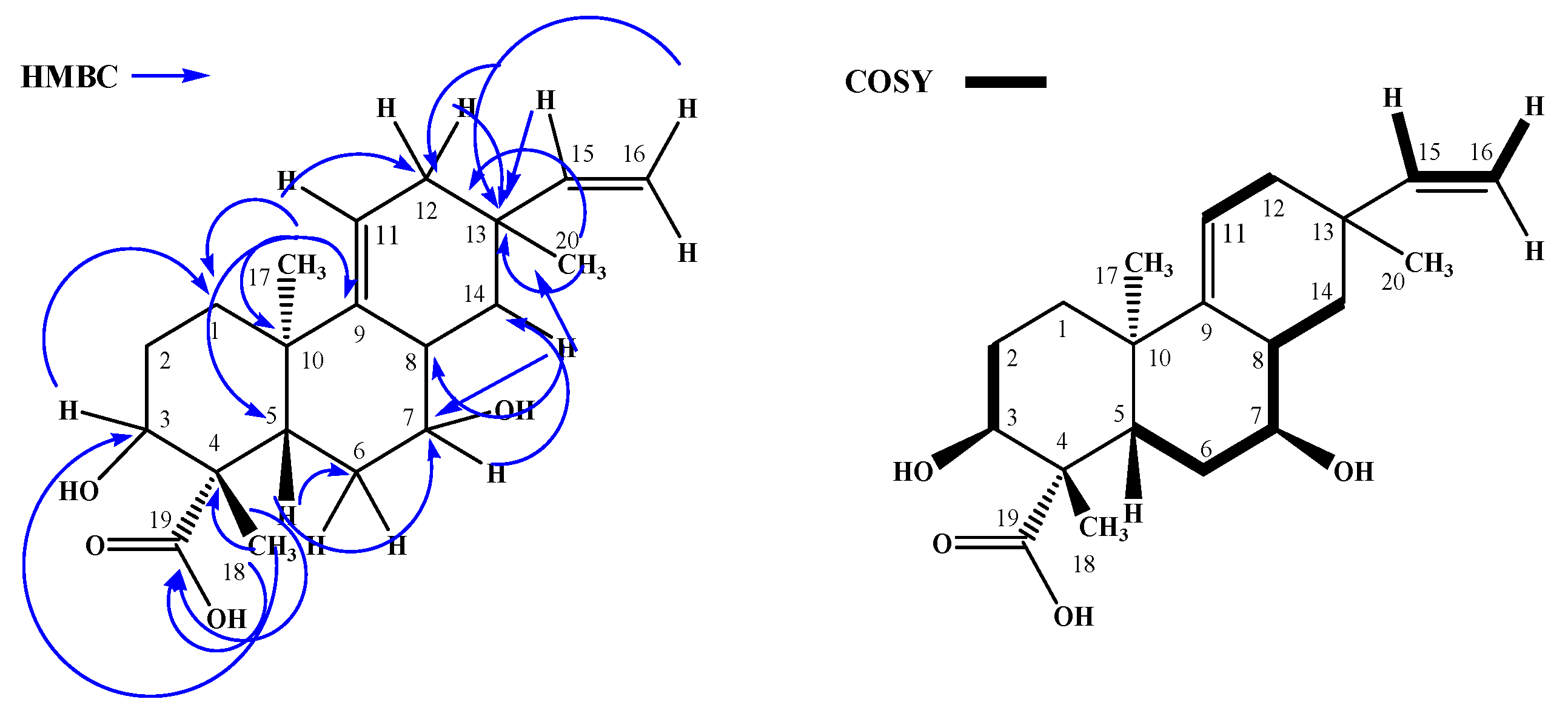 Antibiotics 12 01331 g002