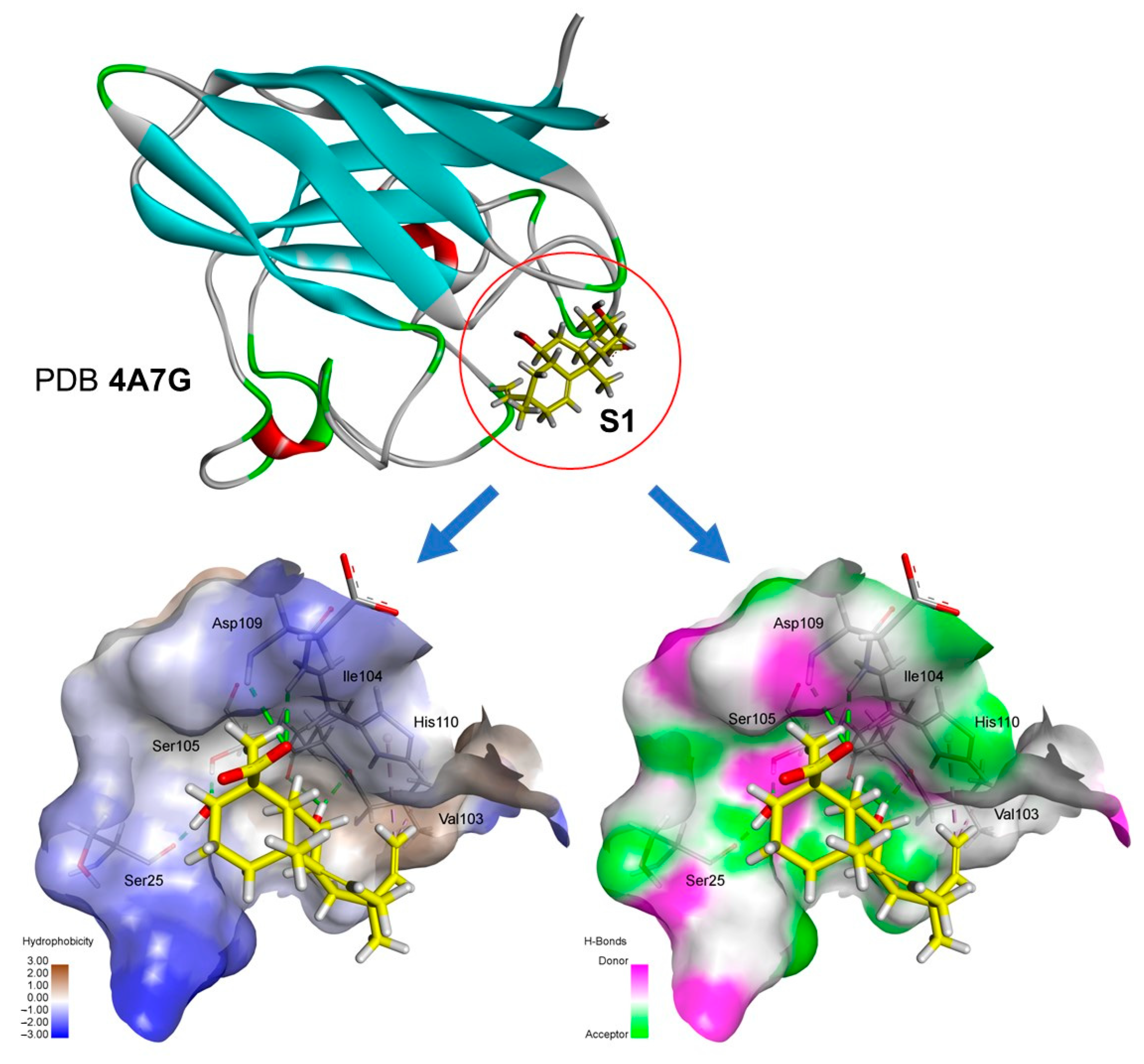 Antibiotics 12 01331 g007
