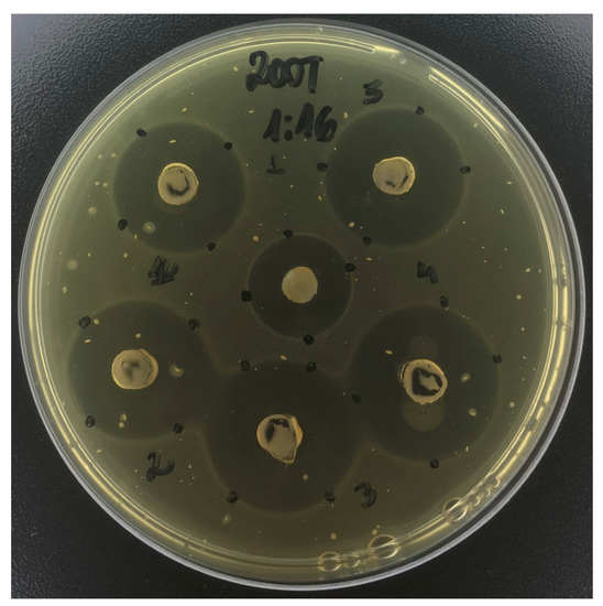 Antibiotics 12 01333 g001