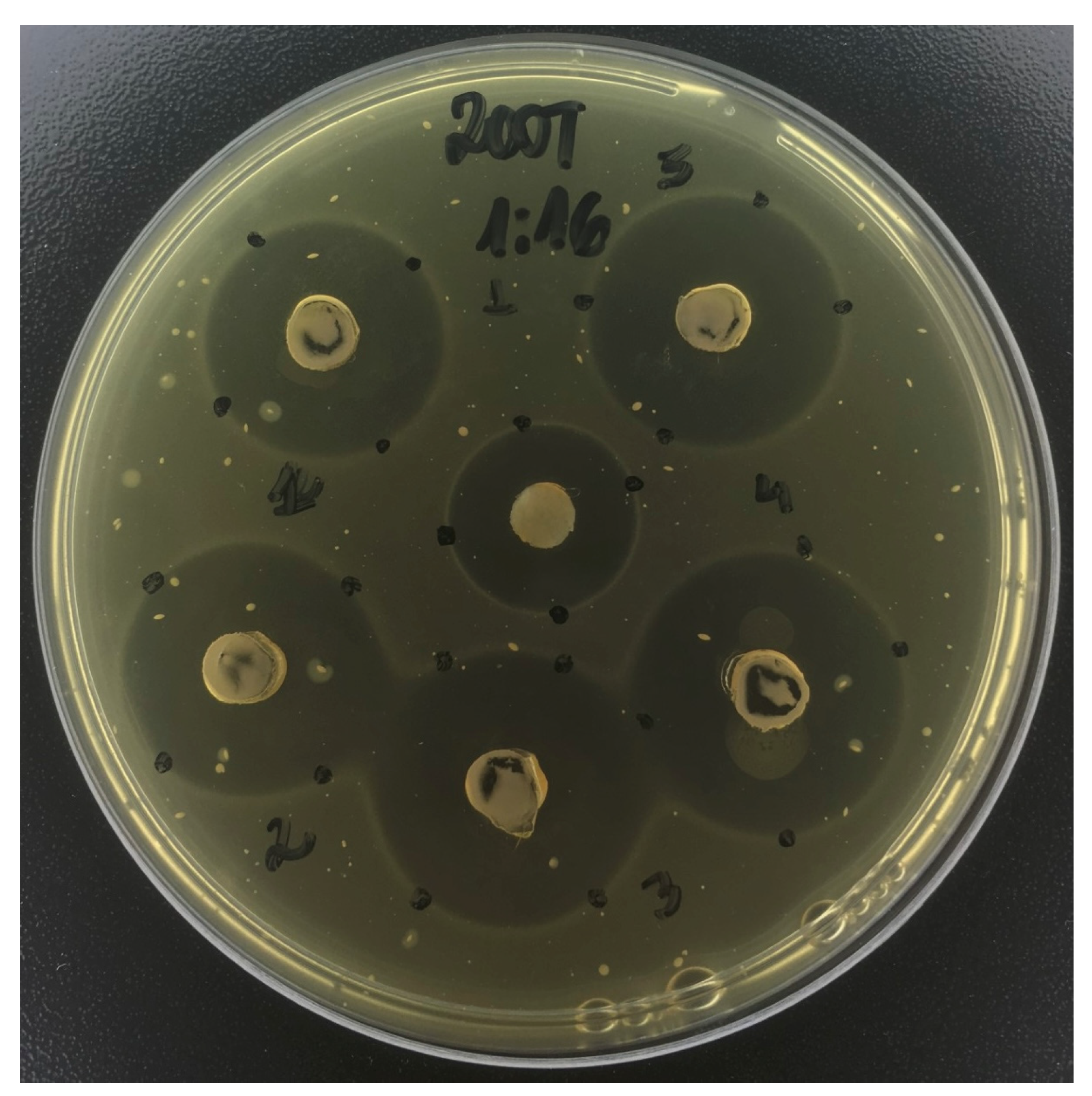 Antibiotics 12 01333 g001