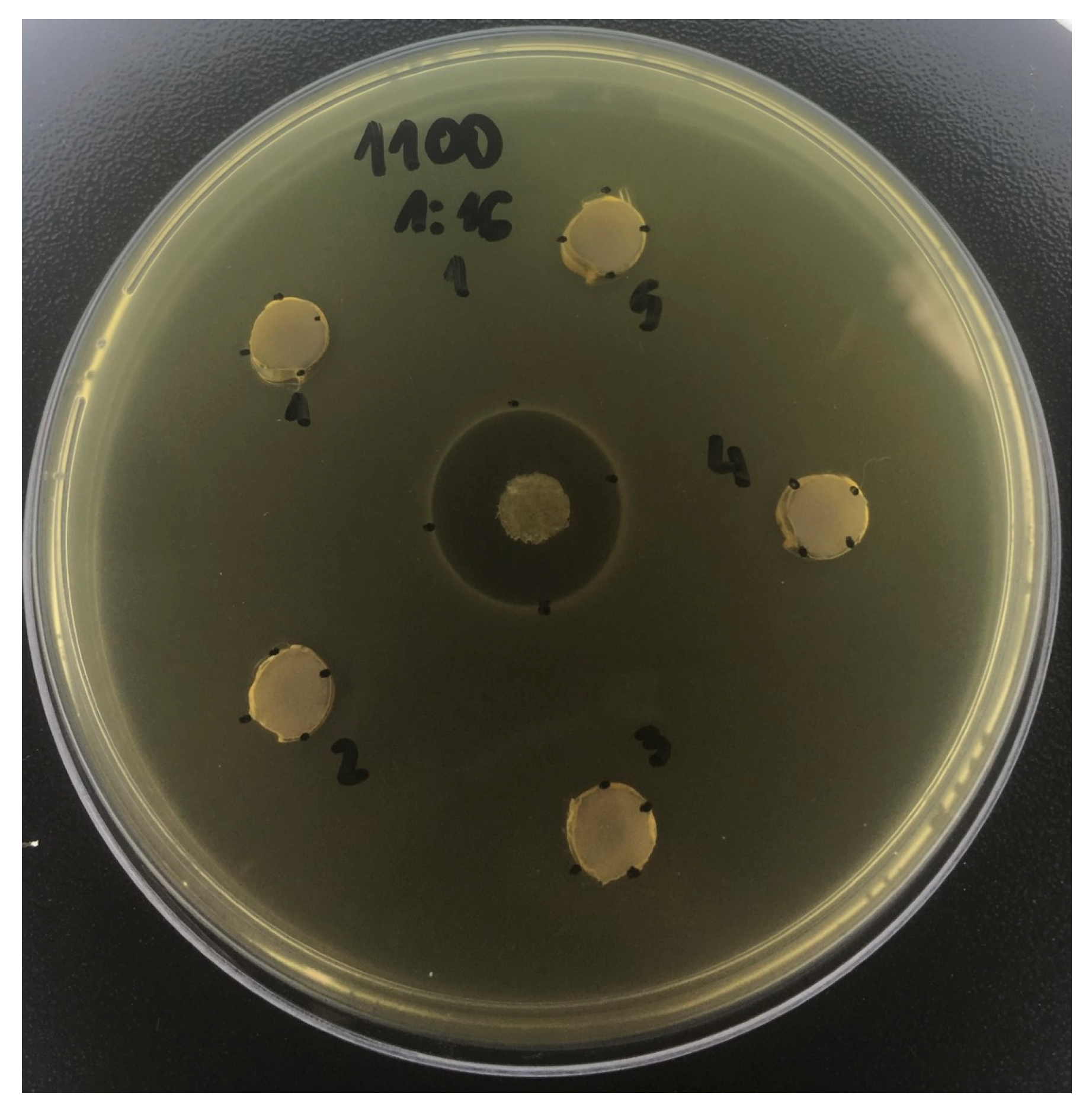 Antibiotics 12 01333 g002