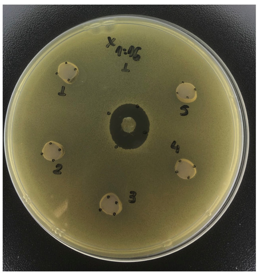 Antibiotics 12 01333 g003