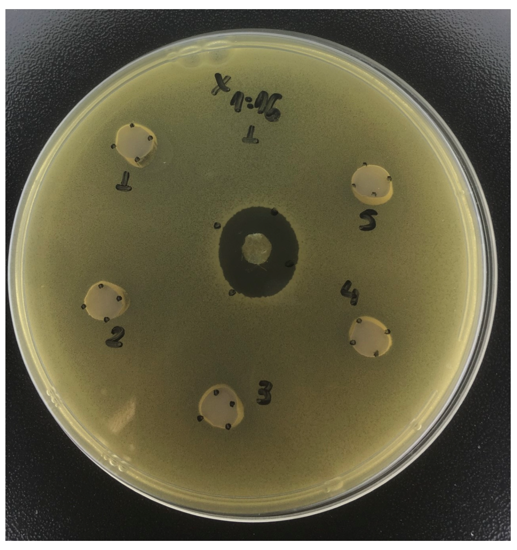 Antibiotics 12 01333 g003
