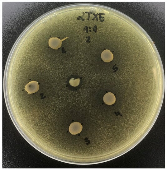 Antibiotics 12 01333 g004