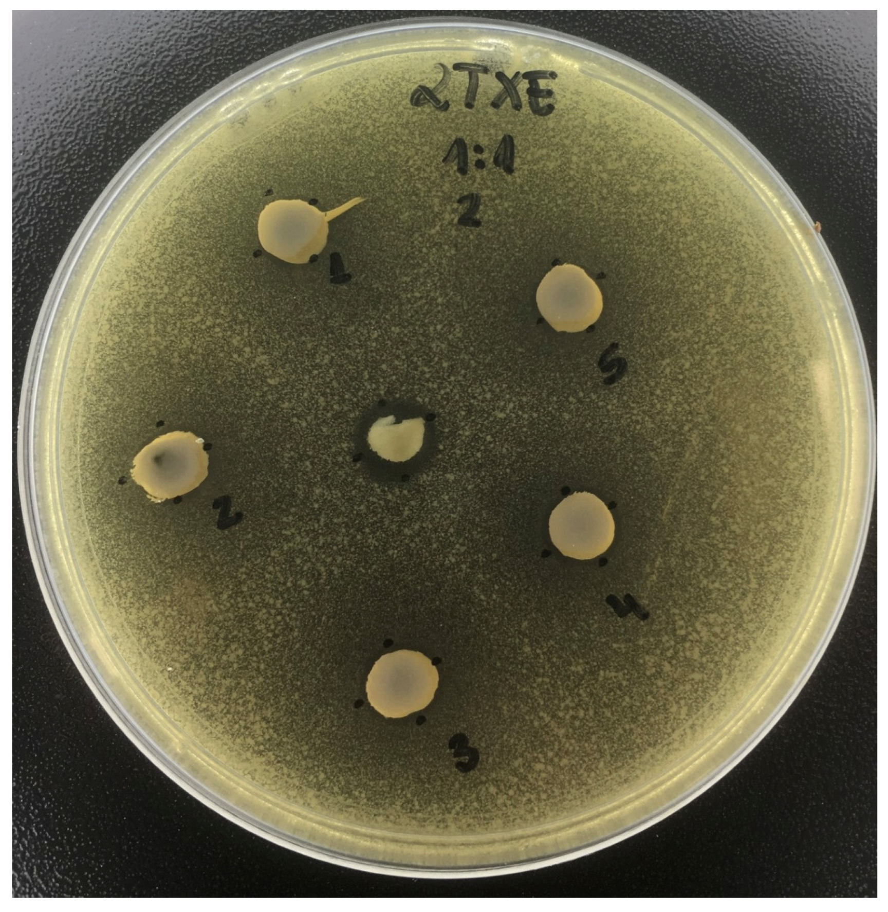 Antibiotics 12 01333 g004